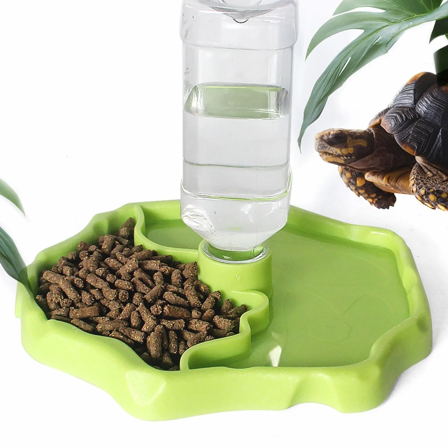 Sharplace Mangeoire pour Reptiles et Accessoires d'aquarium Conteneur Polyvalent Herbe Verte