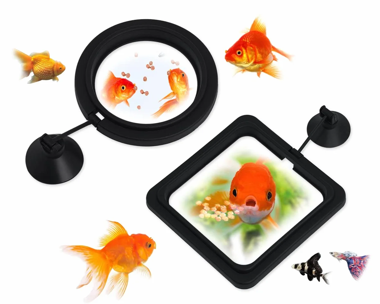 Lot de 2 anneaux flottants pour aquarium Noir avec ventouse