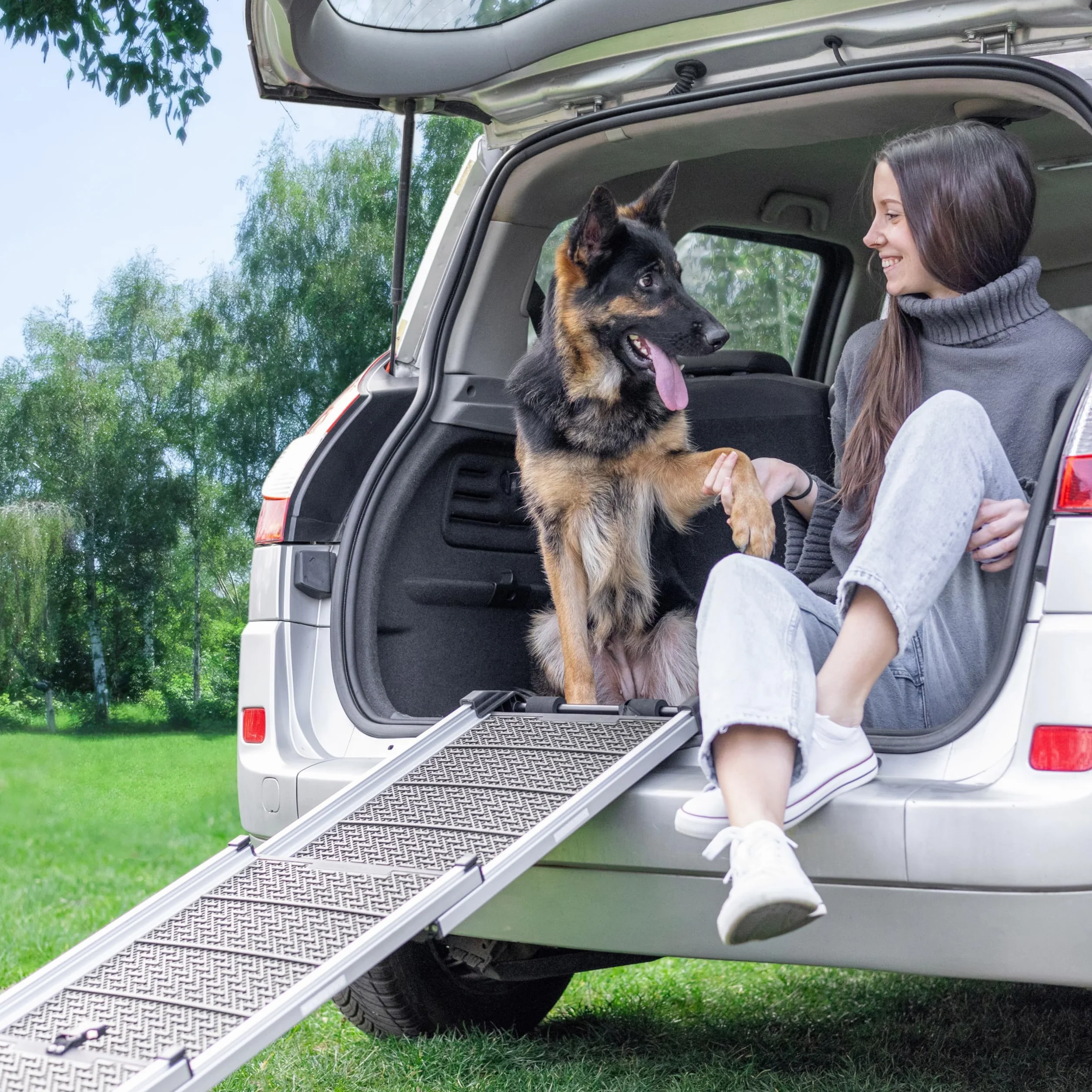 Rampe télescopique pour Chien Voiture SUV 90kg Antidérapante Sécurité Nuit