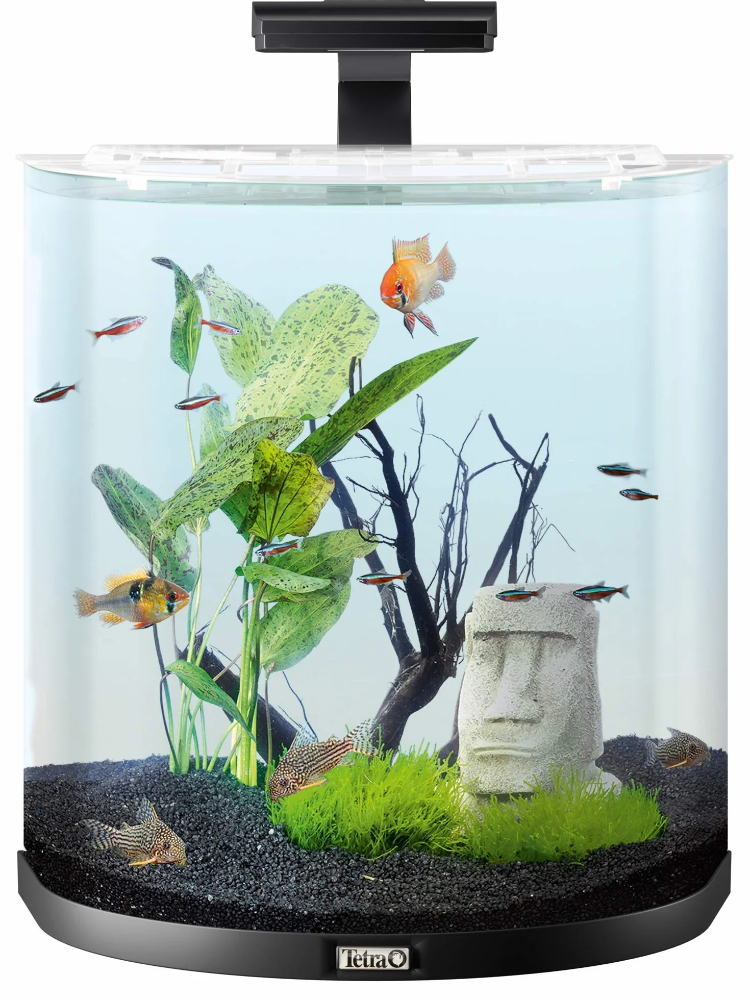 Tetra Aquaart Explorer 60 L