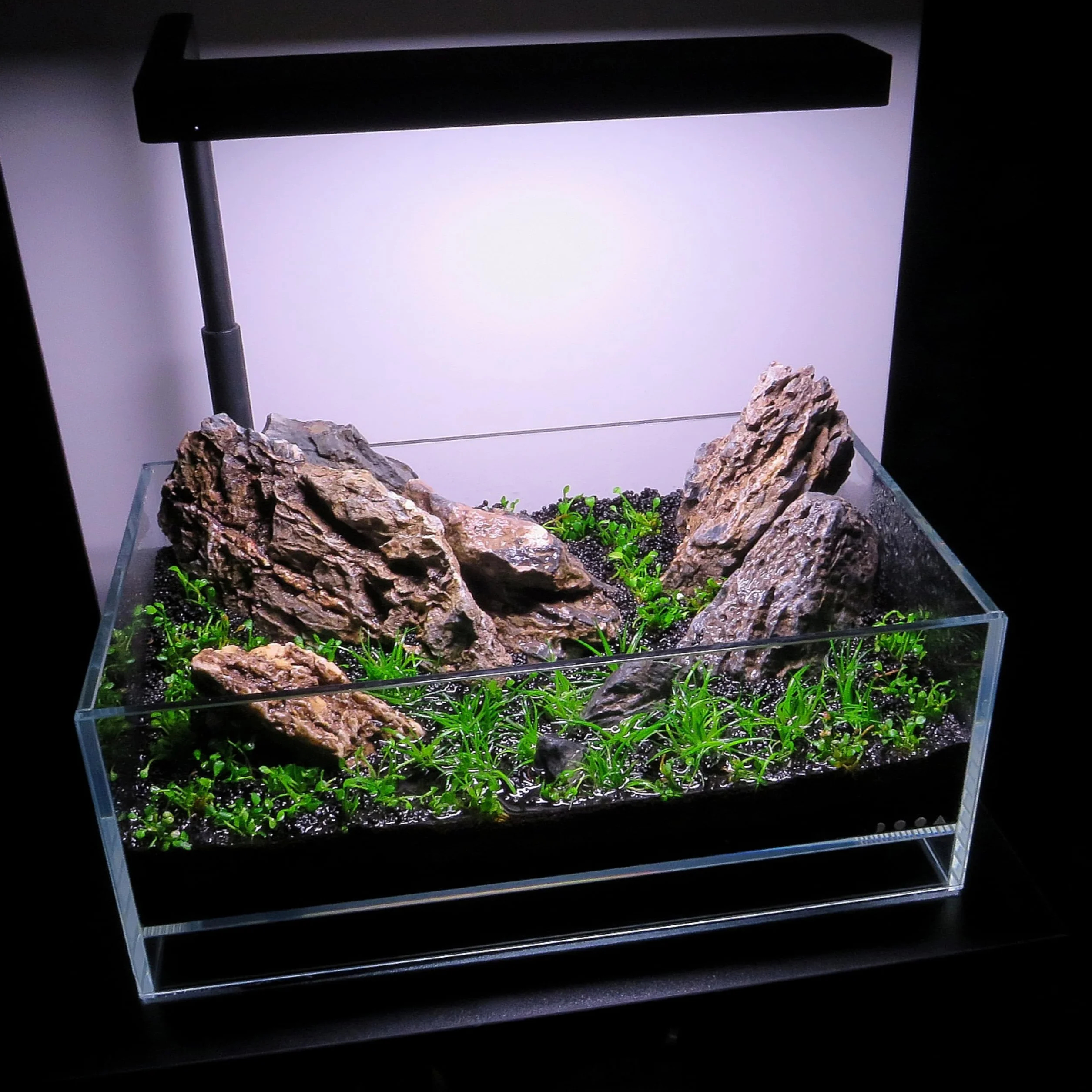 ARKA mySCAPE-Rocks Seiryu Pierres Naturelles d'aquascaping pour Aquariums d'Eau Douce et Terrariums