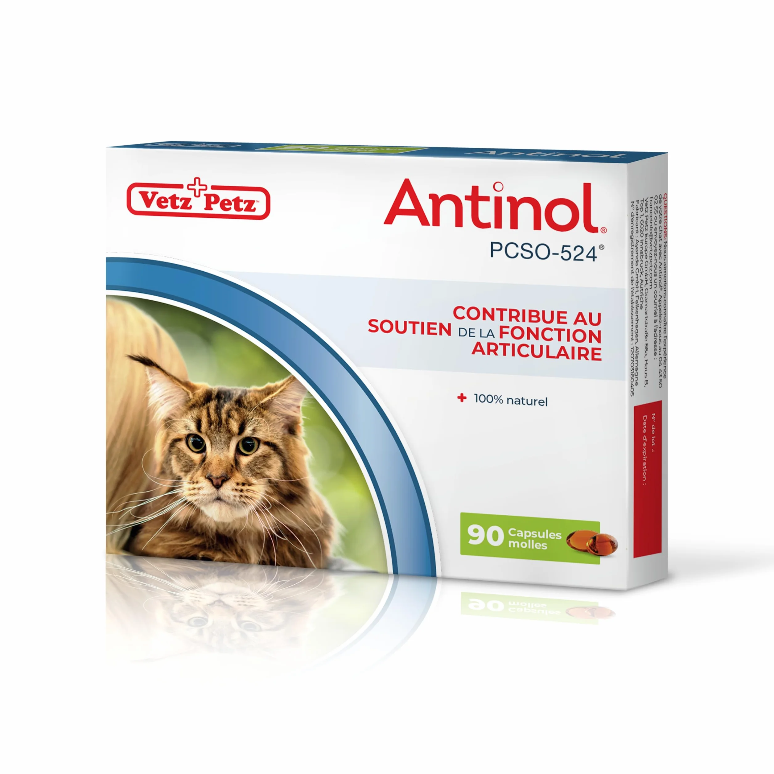 Antinol Complément Naturel des Chats Adultes Articulations Peau Huîtres Vertes Oméga 3 Vitamine E 90 Capsules