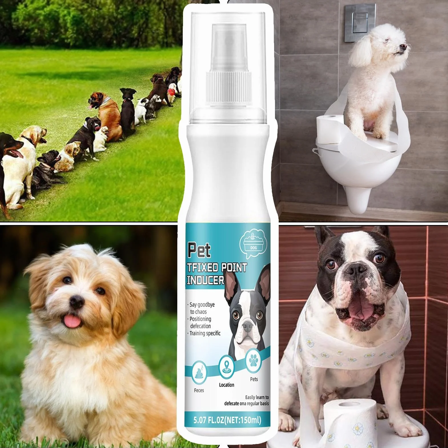 Spray d'apprentissage de la propreté pour chien – Attractif urine 150 ml intérieur et extérieur