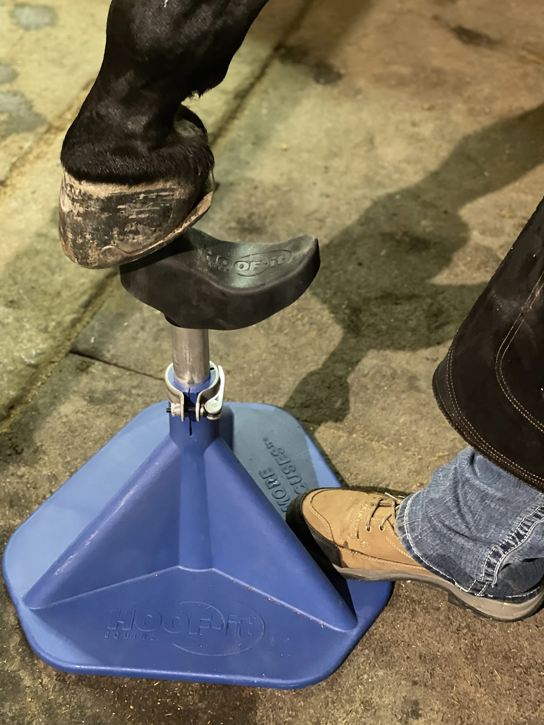 HOOF-it® Blacksmith Hufbock Bleu