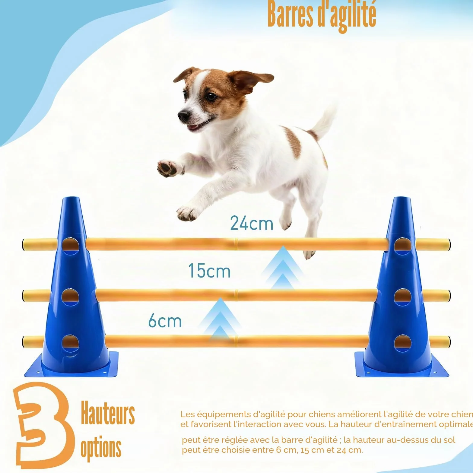 Agility Kit de barrière d'agilité pour Chien - Cavaletti réglables - Hauteur 32 cm - 8 Barres 80 cm