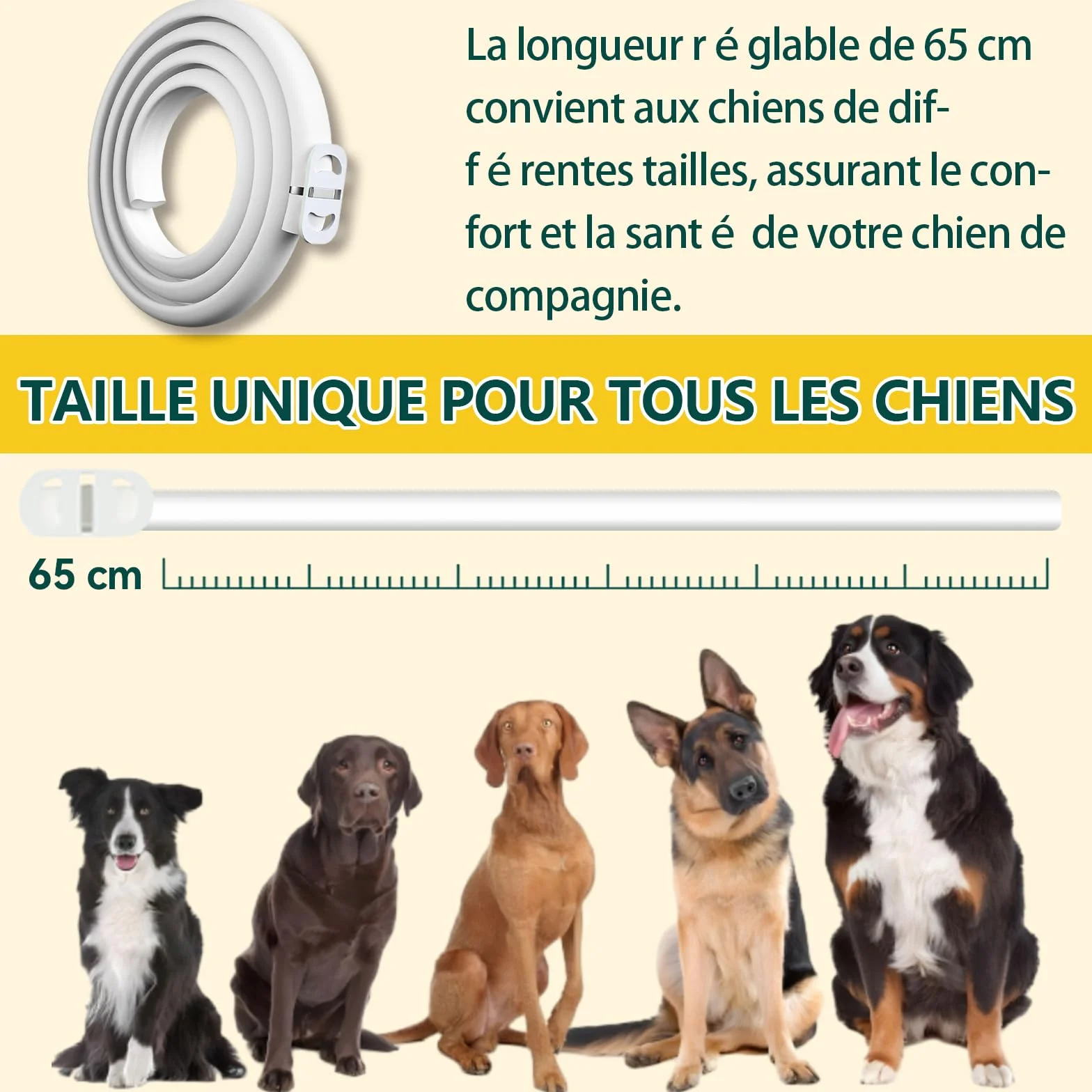 Collier Anti Puces pour Chien 65cm, 12 Mois Protection Efficace, Réglable Étanche, 2 Pack