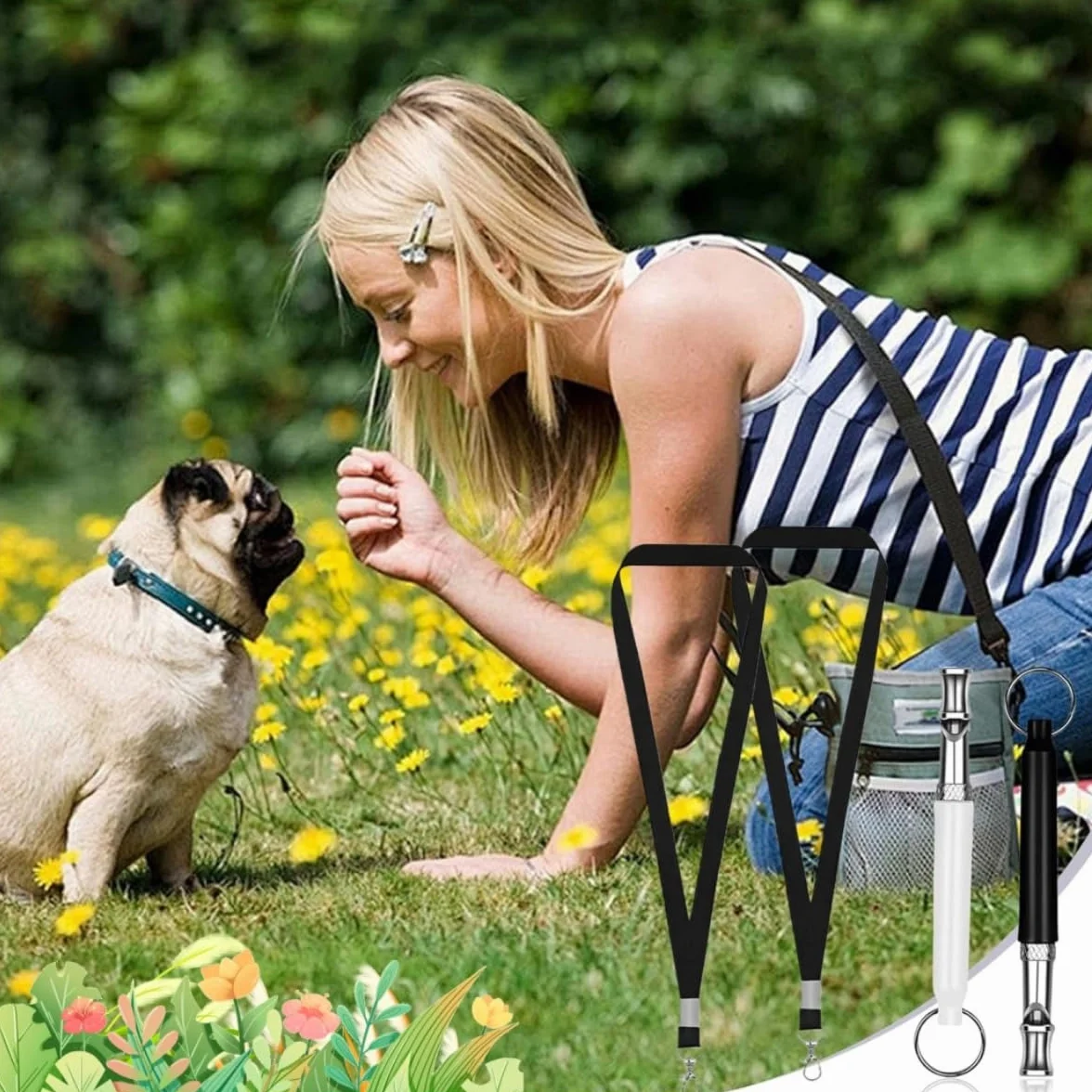 Sifflet à Ultrasons pour Chien Silencieux 2 Pièces Anti Aboiement Haute Fréquence Réglable avec Lanière Dressage Rappel