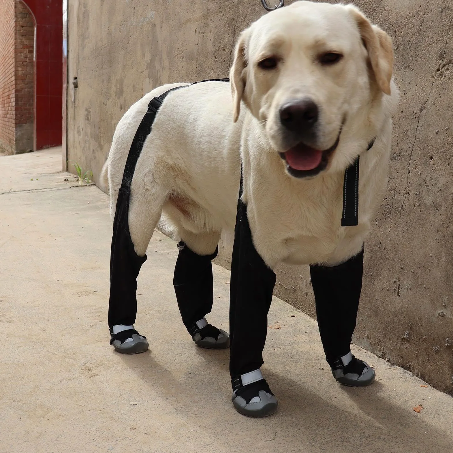 Bottes De Neige À Bretelles Pour Chien Chaussons Ajustables Anti-Dérapant | Chaussures À Suspentes Pour Chien Pour Marche Extérieure Hiver Neige Pluie