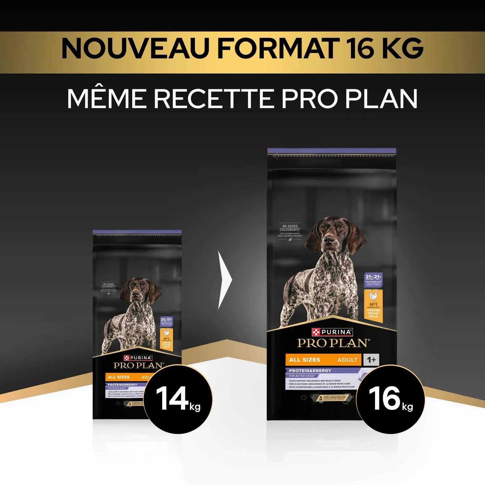 Purina Pro Plan Protein & Energy - Croquettes Chien Adulte au Poulet, 16 kg | Croquettes Chien Saveur Poulet - Contient 60% de protéines animales pour chiens adultes actifs - Alimentation Chien