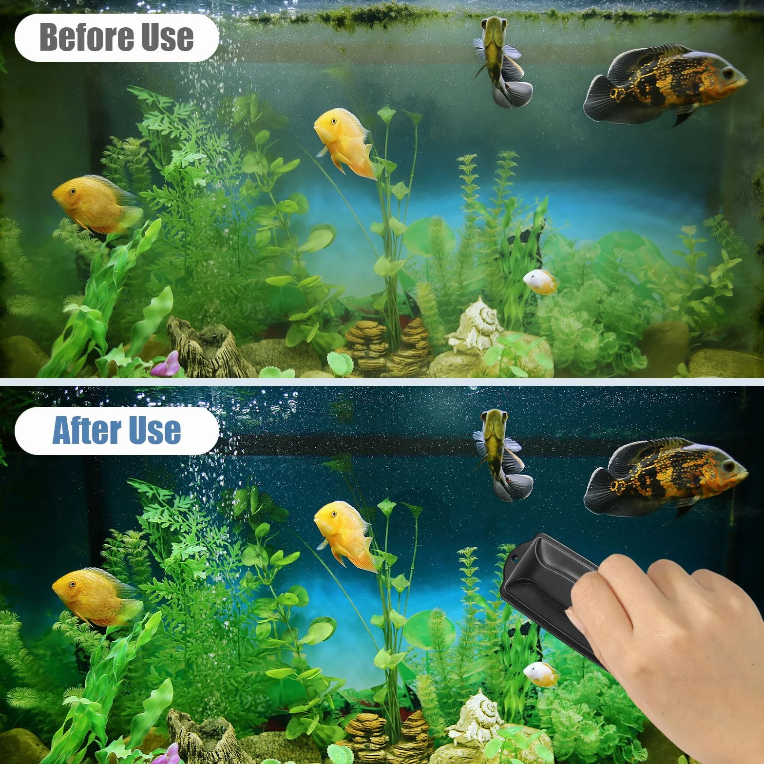 Nettoyant pour vitre d'aquarium