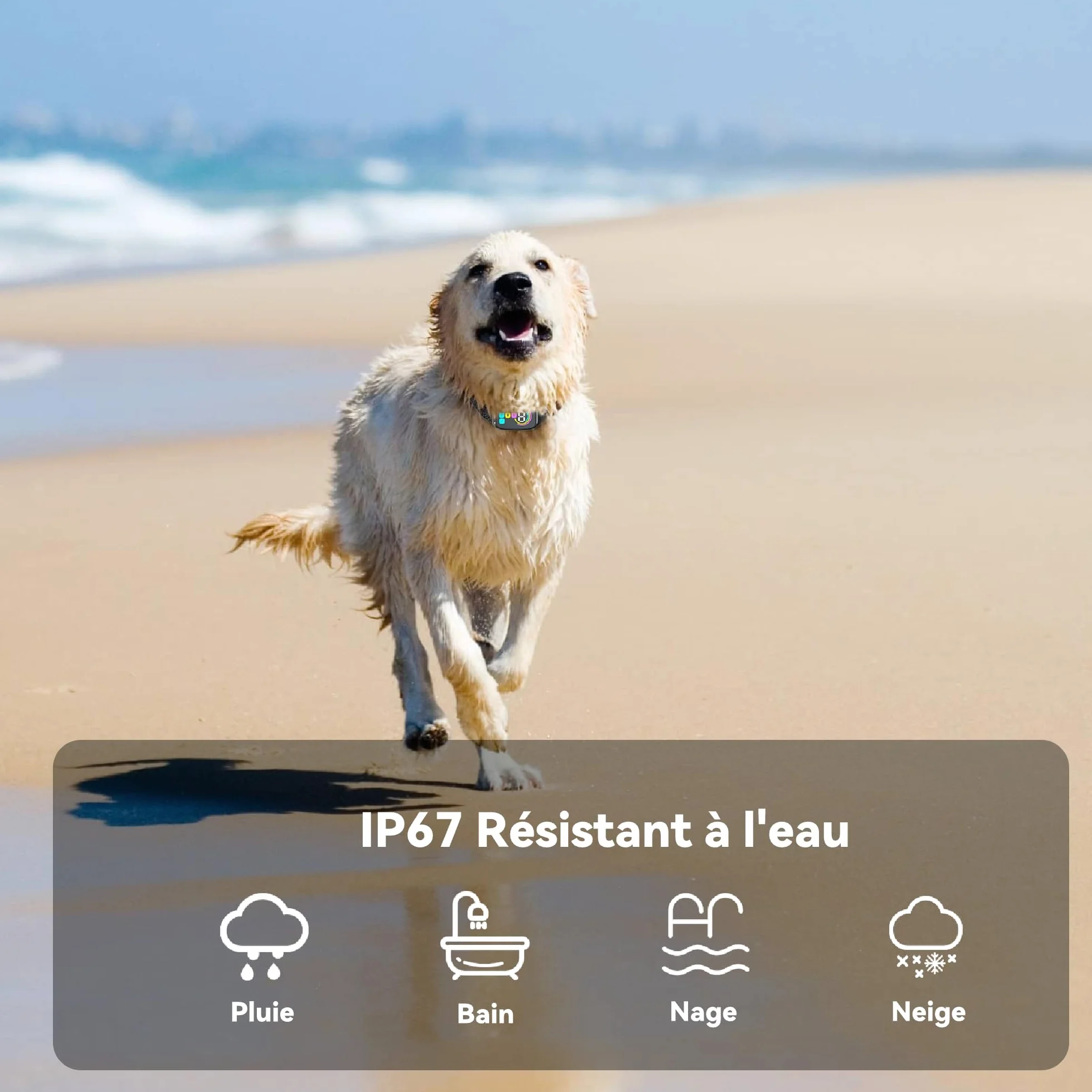 Collier Anti Aboiement Chien, Détection Intelligente, 4 Modes Vibration/Choc/Son, 8 Niveaux, Rechargeable