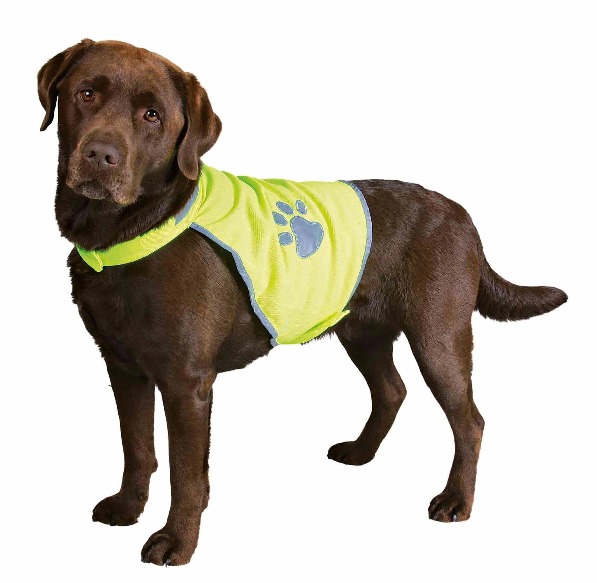 Trixie Gilet de Sécurité pour Chiens Taille M/50-68 cm