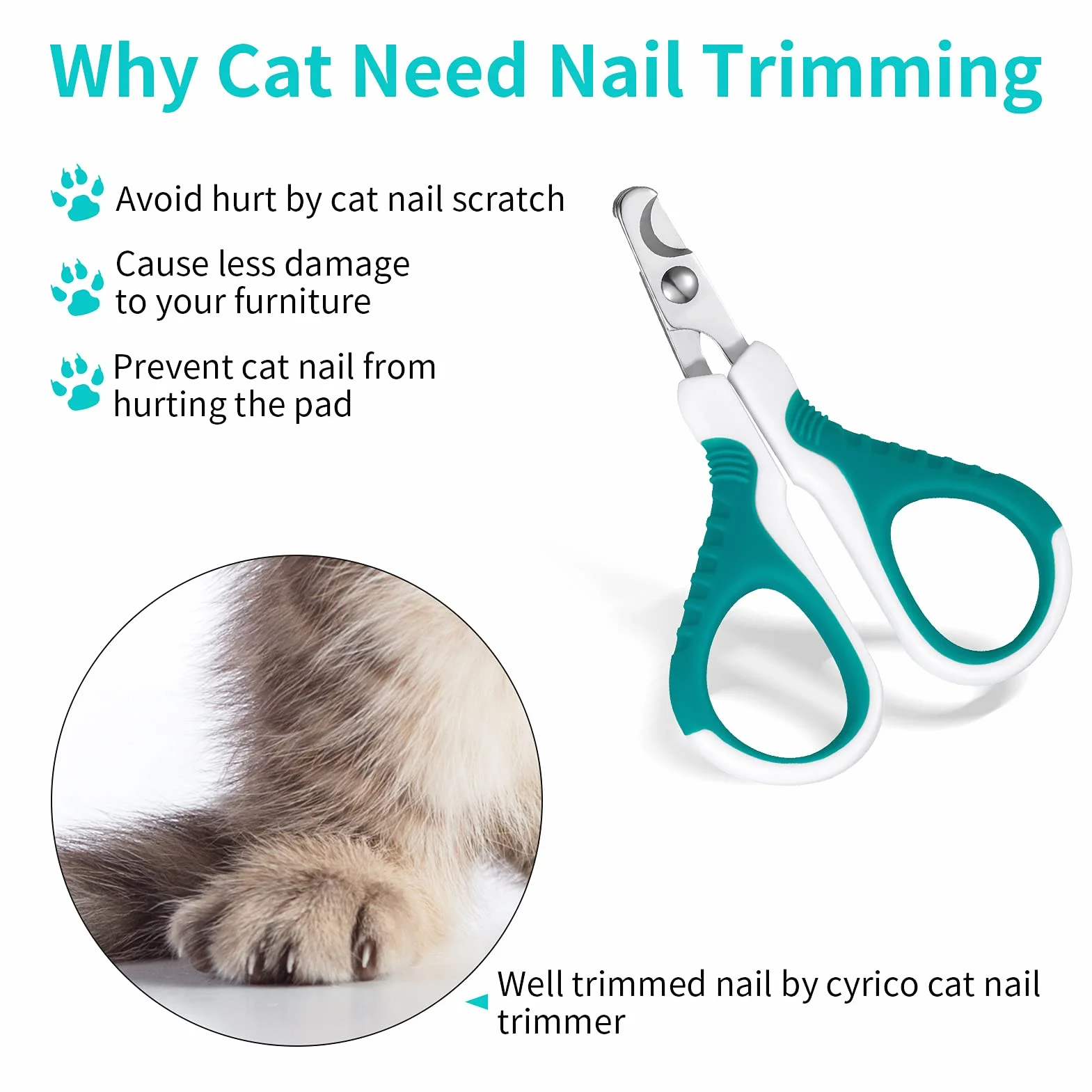 SUSSURRO Coupe Griffes Chat Professionnels, Ciseaux à Ongles Courbe en Acier Inoxydable pour Chiots et Chatons