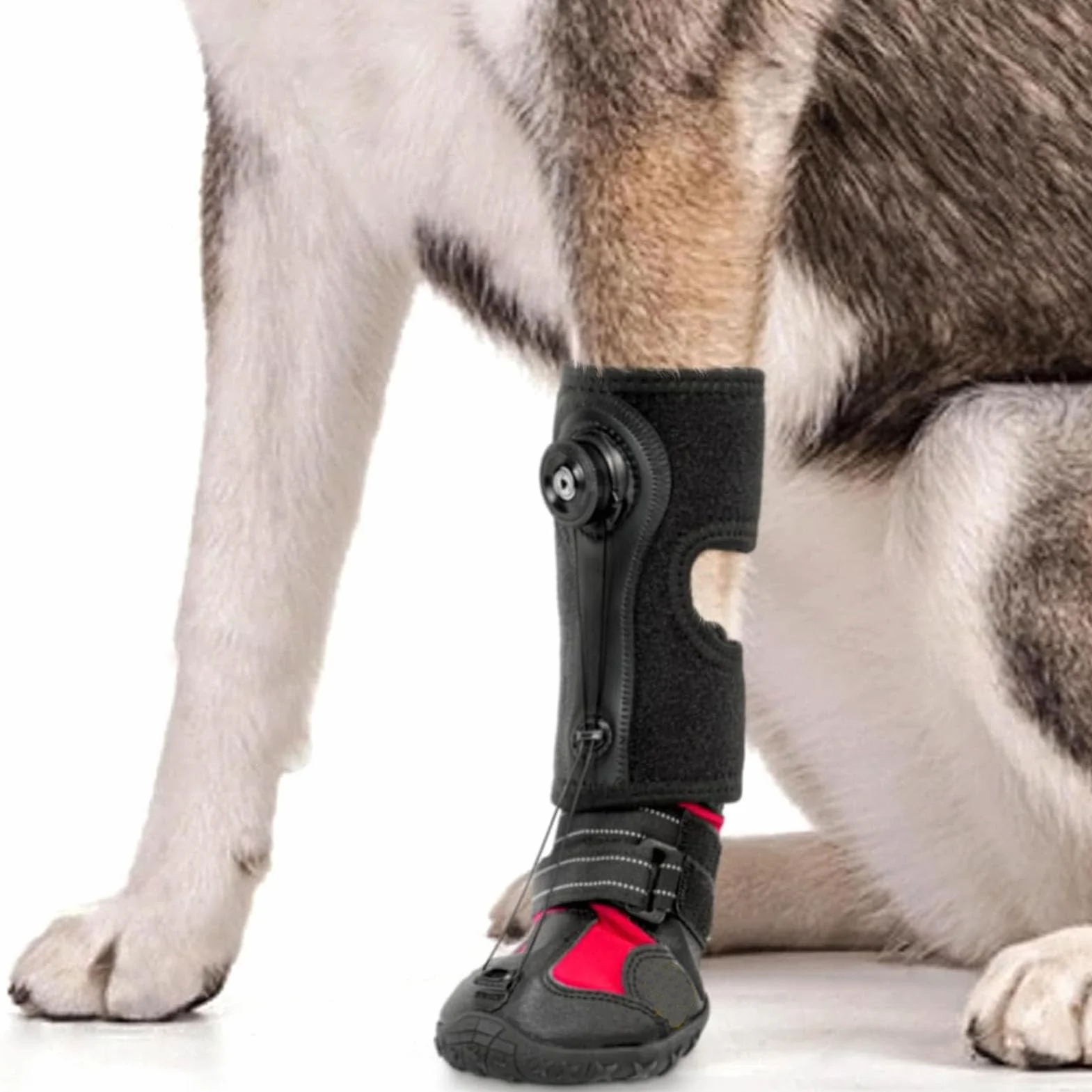 SENECESLI Attelle de Pied Tombante pour Chien, Respirante avec Semelle Antidérapante, Arthrite, Chaussette Élastique (M)