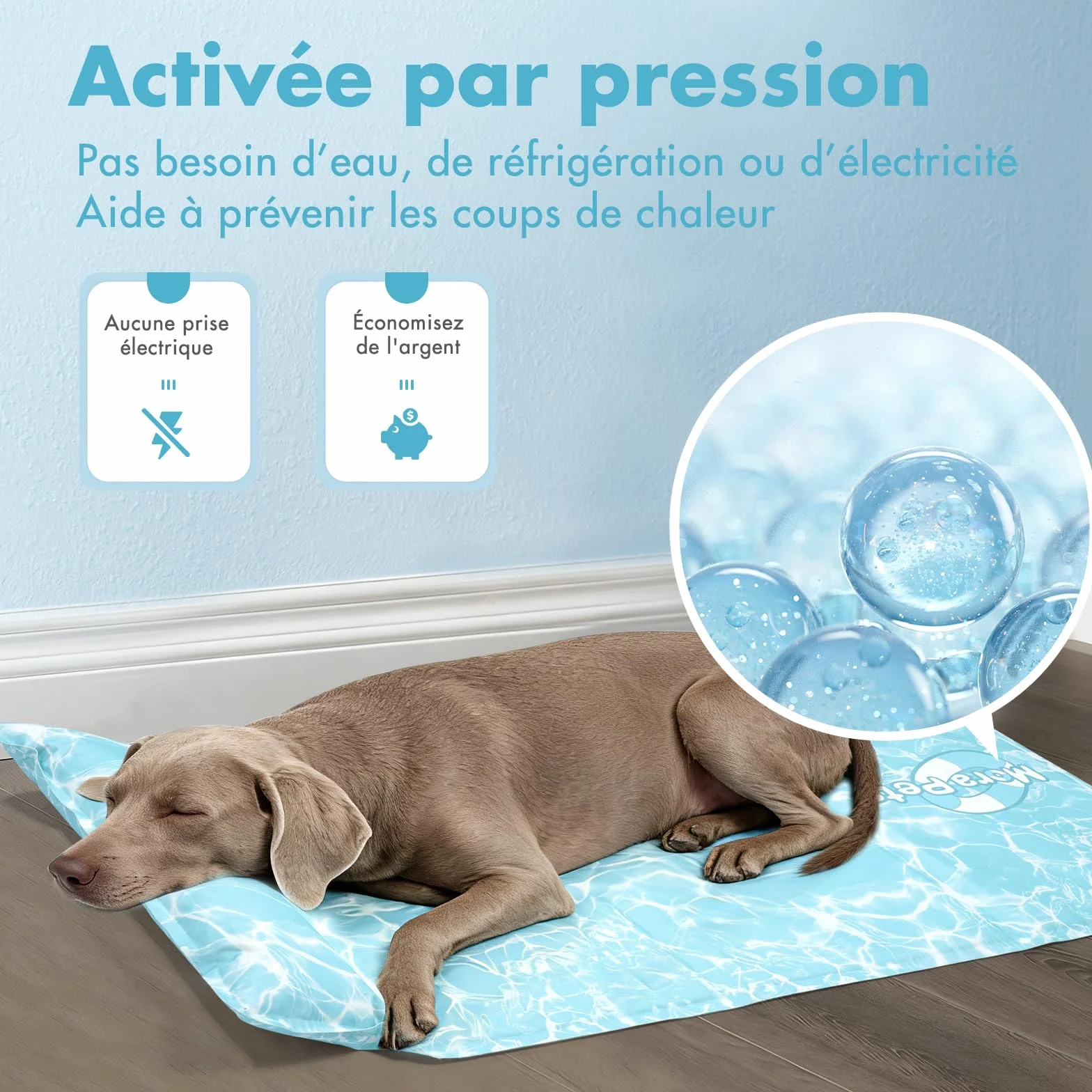Pawtasy Tapis Rafraîchissant pour Chien XL 100x60 cm, Gel Auto-Rafraîchissant, Étanche