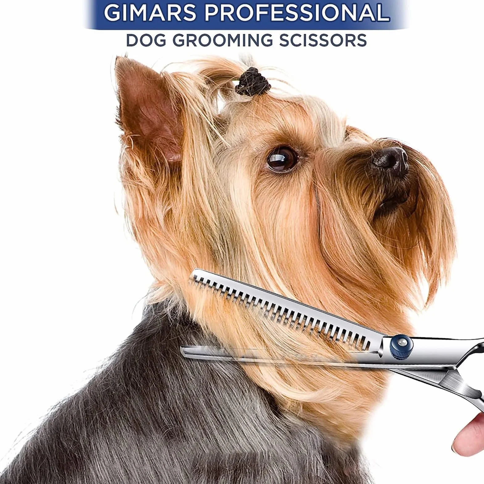 Professionnel Ciseaux Toilettage Chien, Lot de 2 Ensemble de Ciseaux de Toilettage pour Chien, Ciseaux Toilettage pour Animaux avec Embouts de Sécurité Ronds pour Chiens, Chats Cheveux Salon