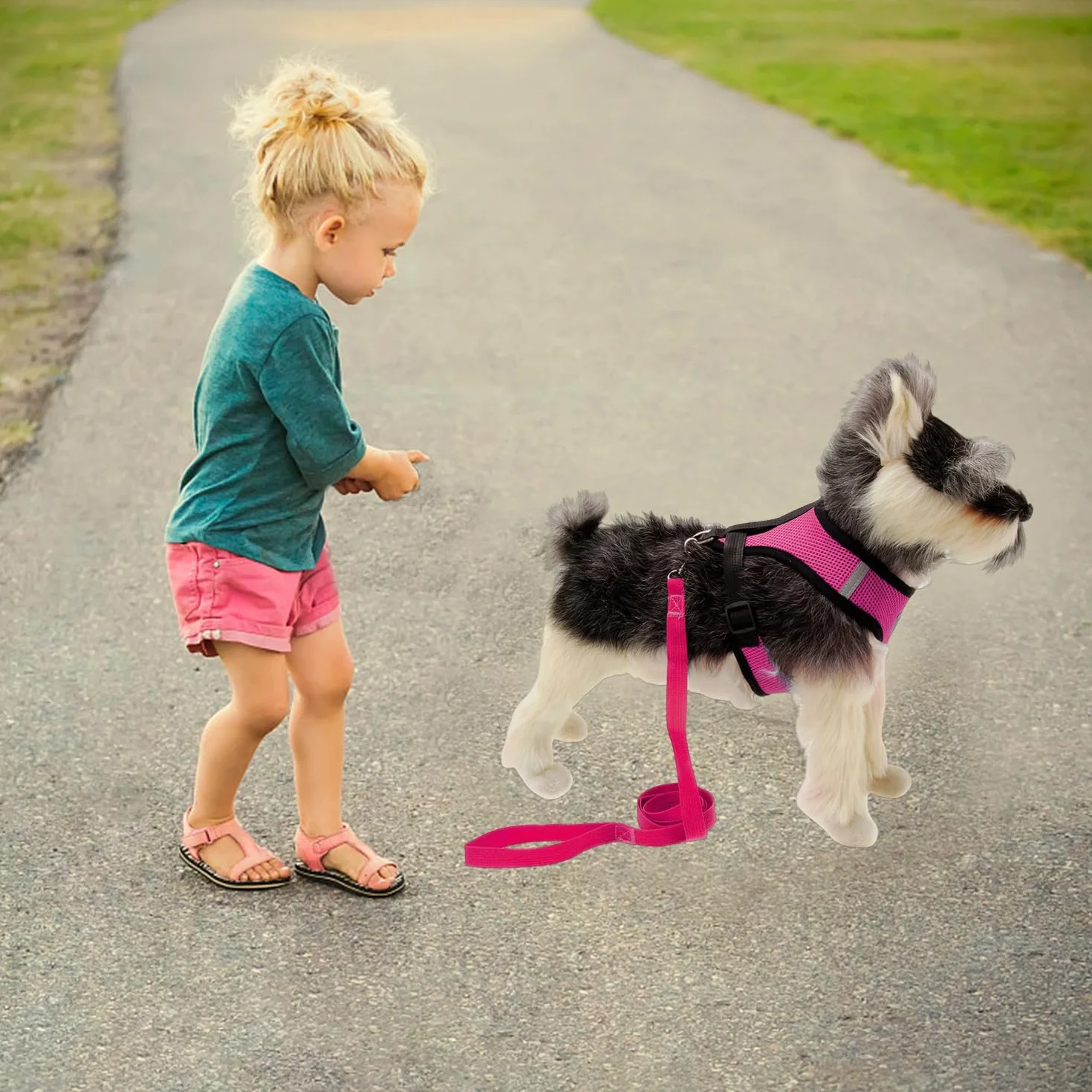 Corde de Traction pour Animaux de Compagnie, 5 Anneaux d'Identification, Réseau Confortable Respirant, Ceinture de Traction Extérieure