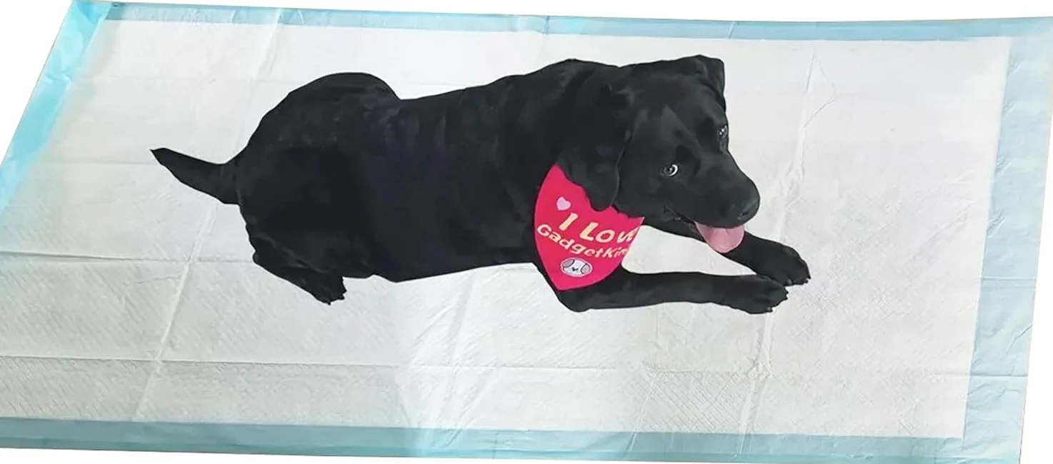 Lot de 20 tapis de sol extra larges pour chiot - Tapis de dressage pour chien - Tapis de dressage XL - Haute absorption - Anti-fuite - Antidérapant - Super taille - 160 cm