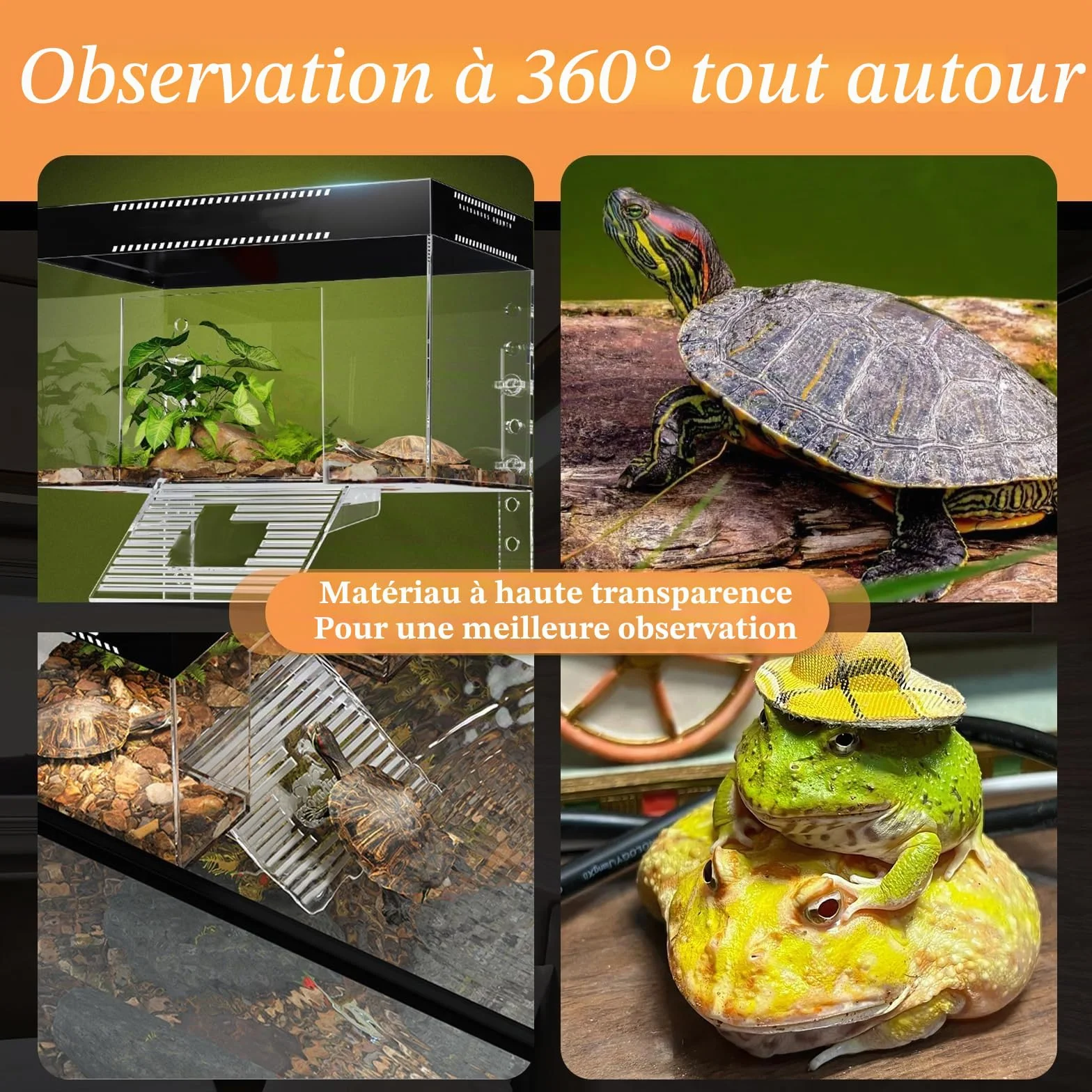 Plateforme de repos suspendue pour tortues à hauteur réglable 25×16×16 cm PC transparent enclos aquarium