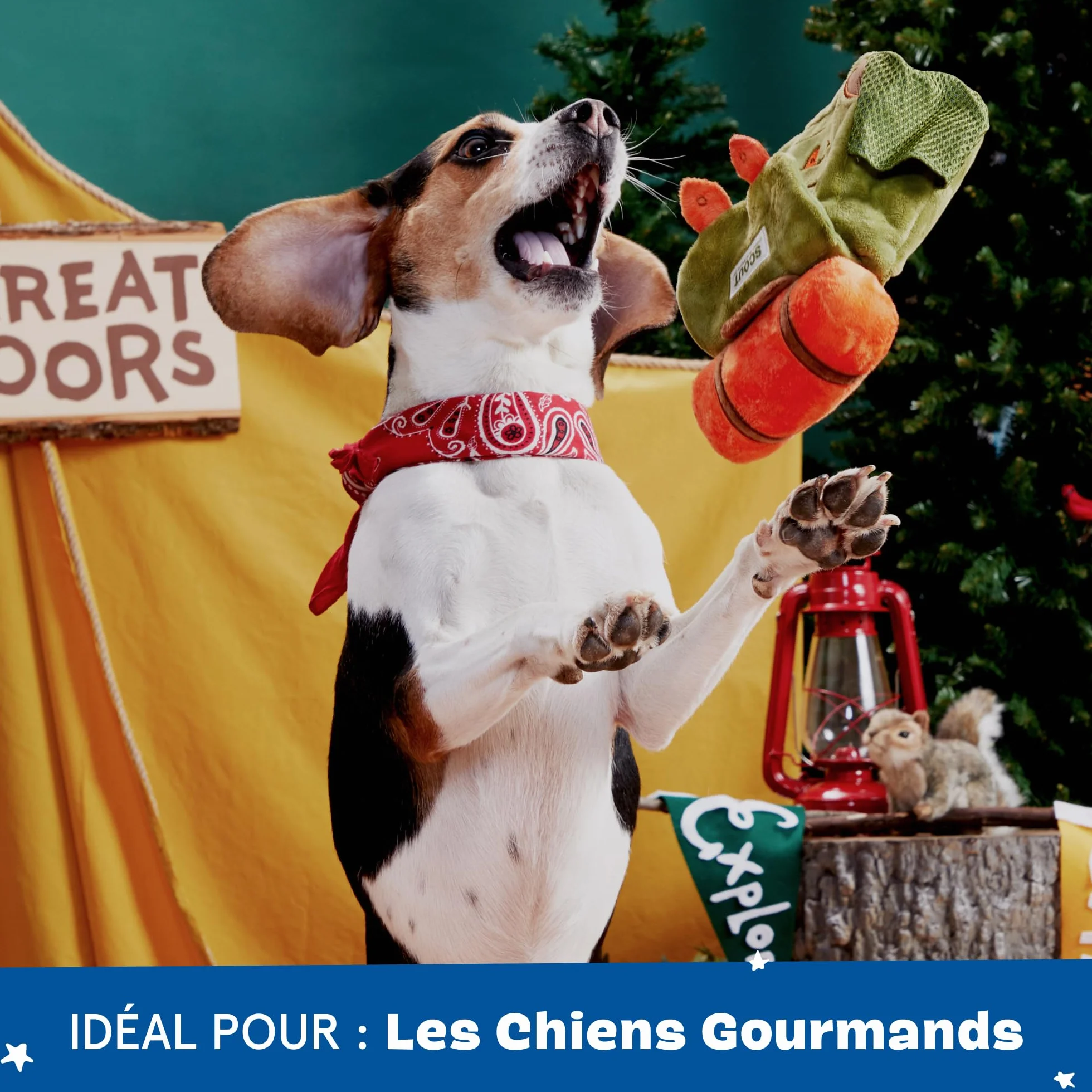 BARK Scout Sac à dos en peluche pour chien Vert Orange Taille S/M