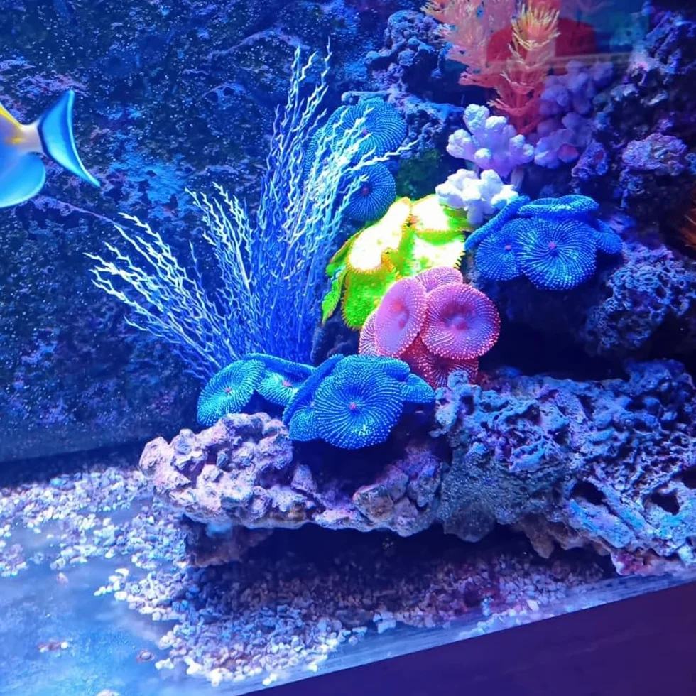 Faux Corail Artificiel 4 pièces Décorations Aquarium Bleu Corail