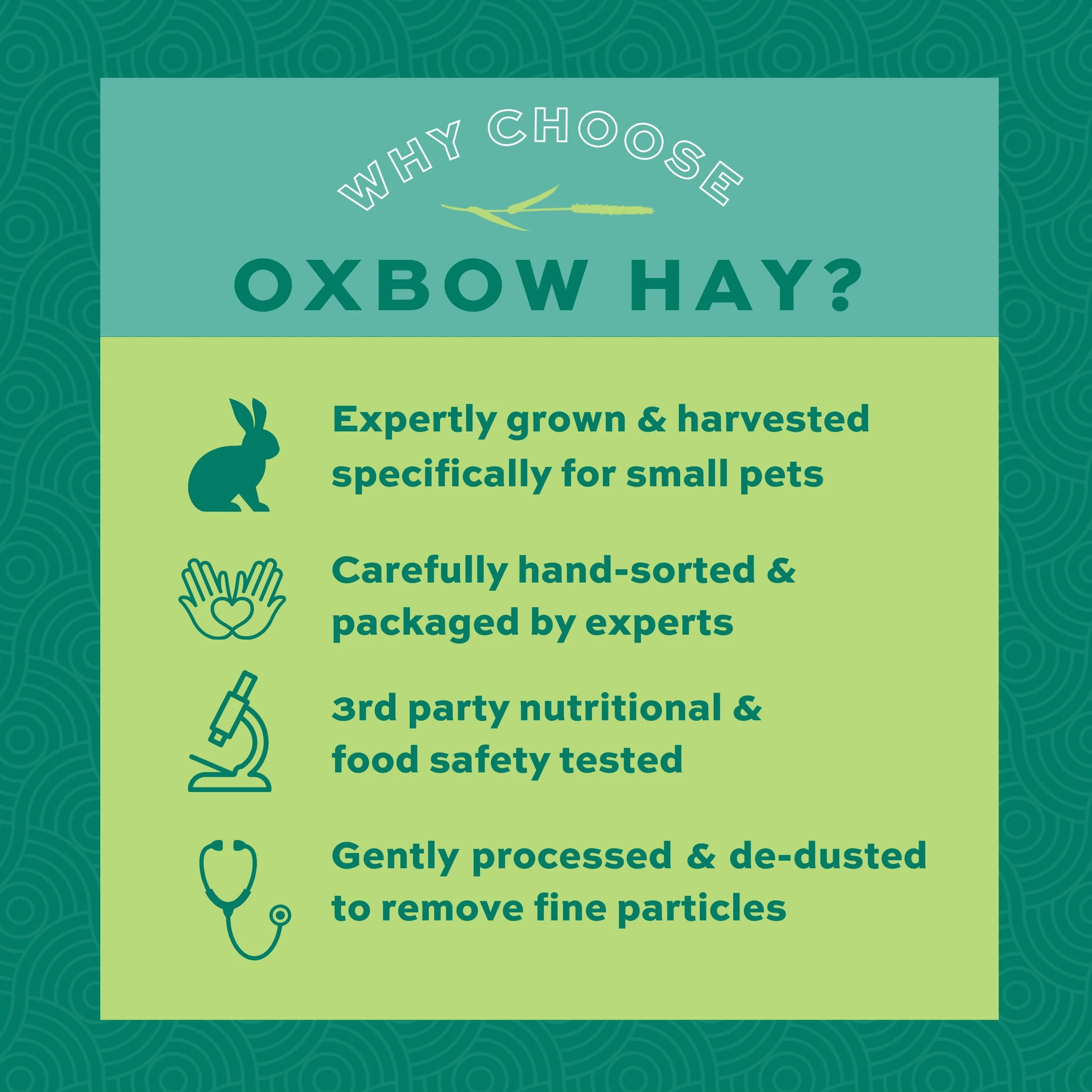 Oxbow Foin Western Timothy 2,55 kg