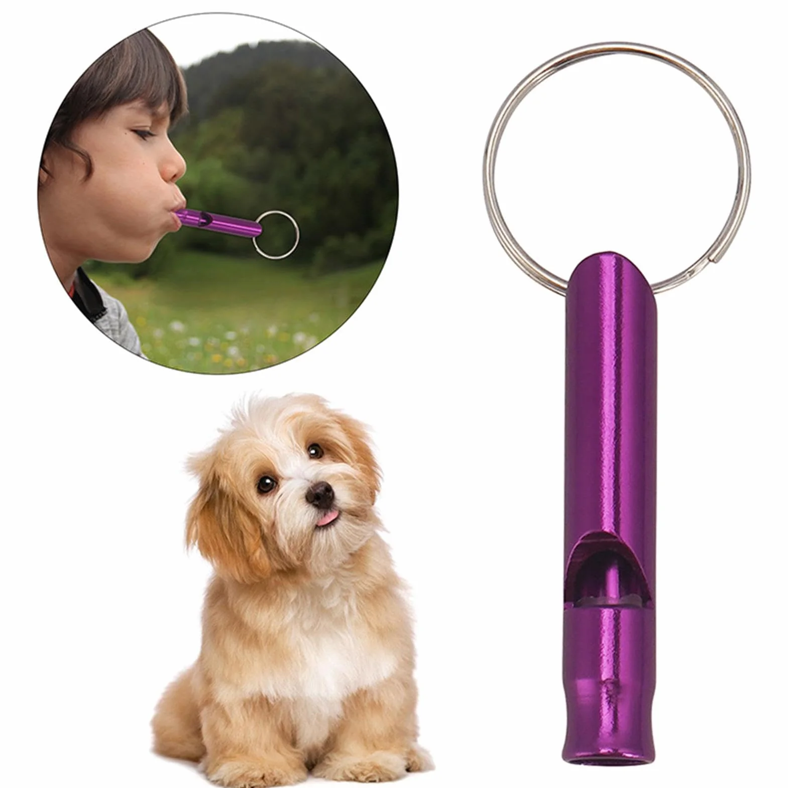 Sifflet de dressage pour chien fréquences réglables ensemble dressage chiot chat