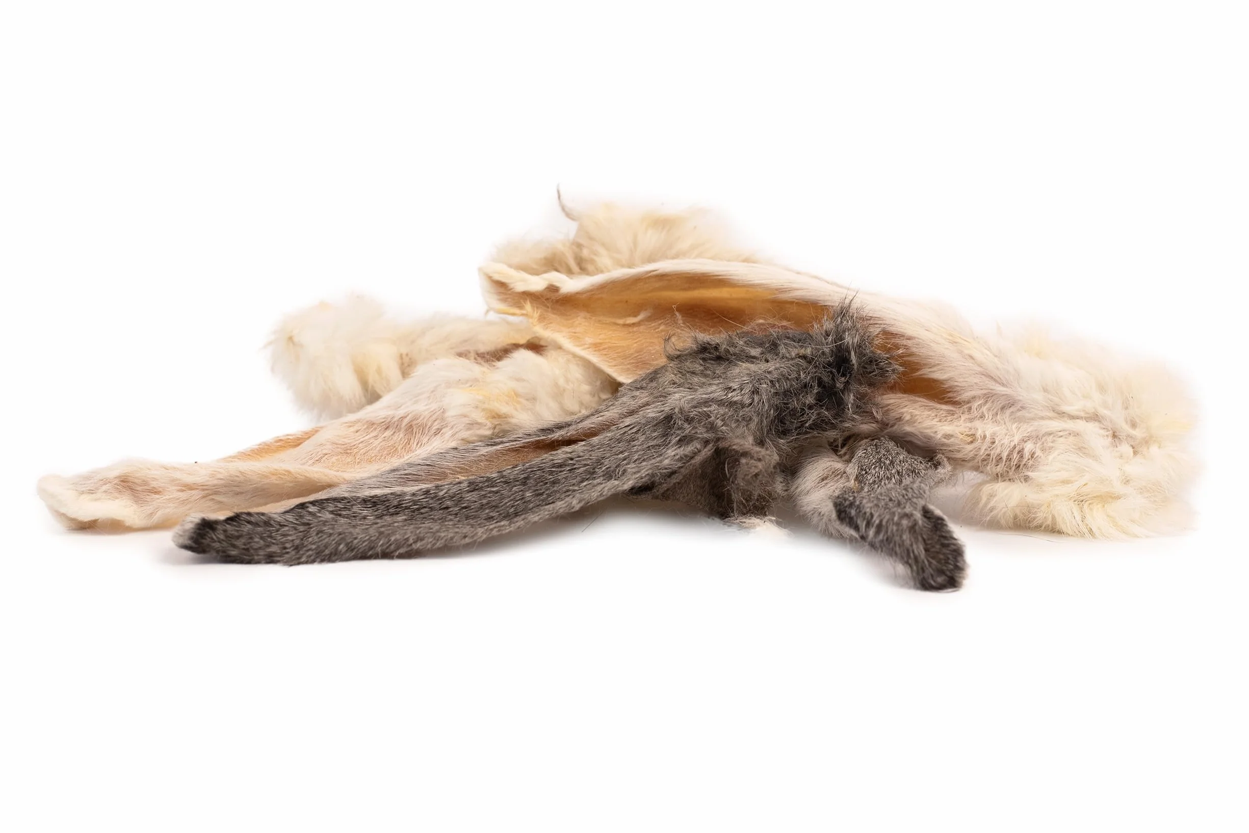 DIBO Oreilles de Lapin avec Fourrure, Sachet de 250 g – Friandise à mâcher Naturelle 100% séchée en Douceur pour Chien, Nettoyage Naturel du côlon, friandises Naturelles et adaptées à l'espèce