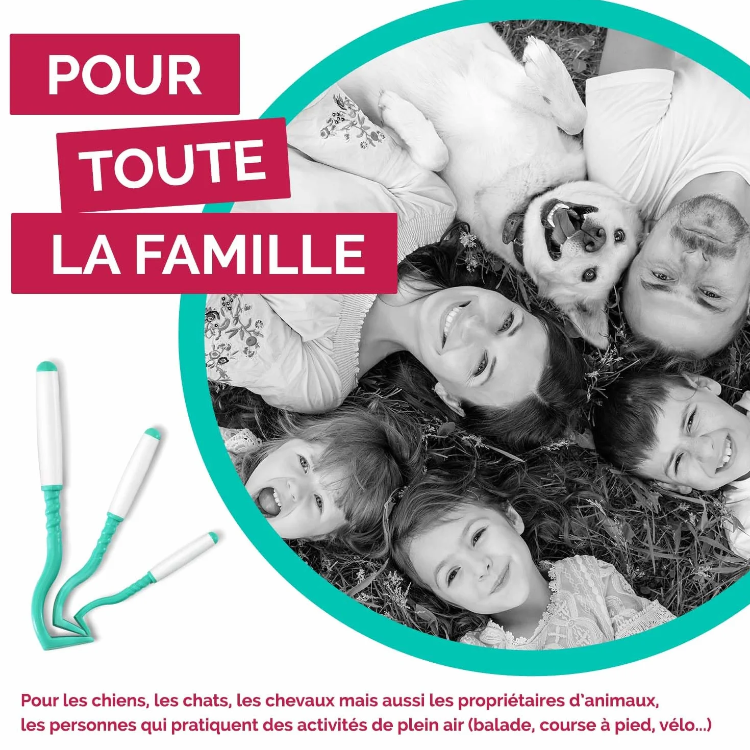 Pince à Tique pour Chien Chat Humain Set de 3 Tailles Vert Fabriqué en France