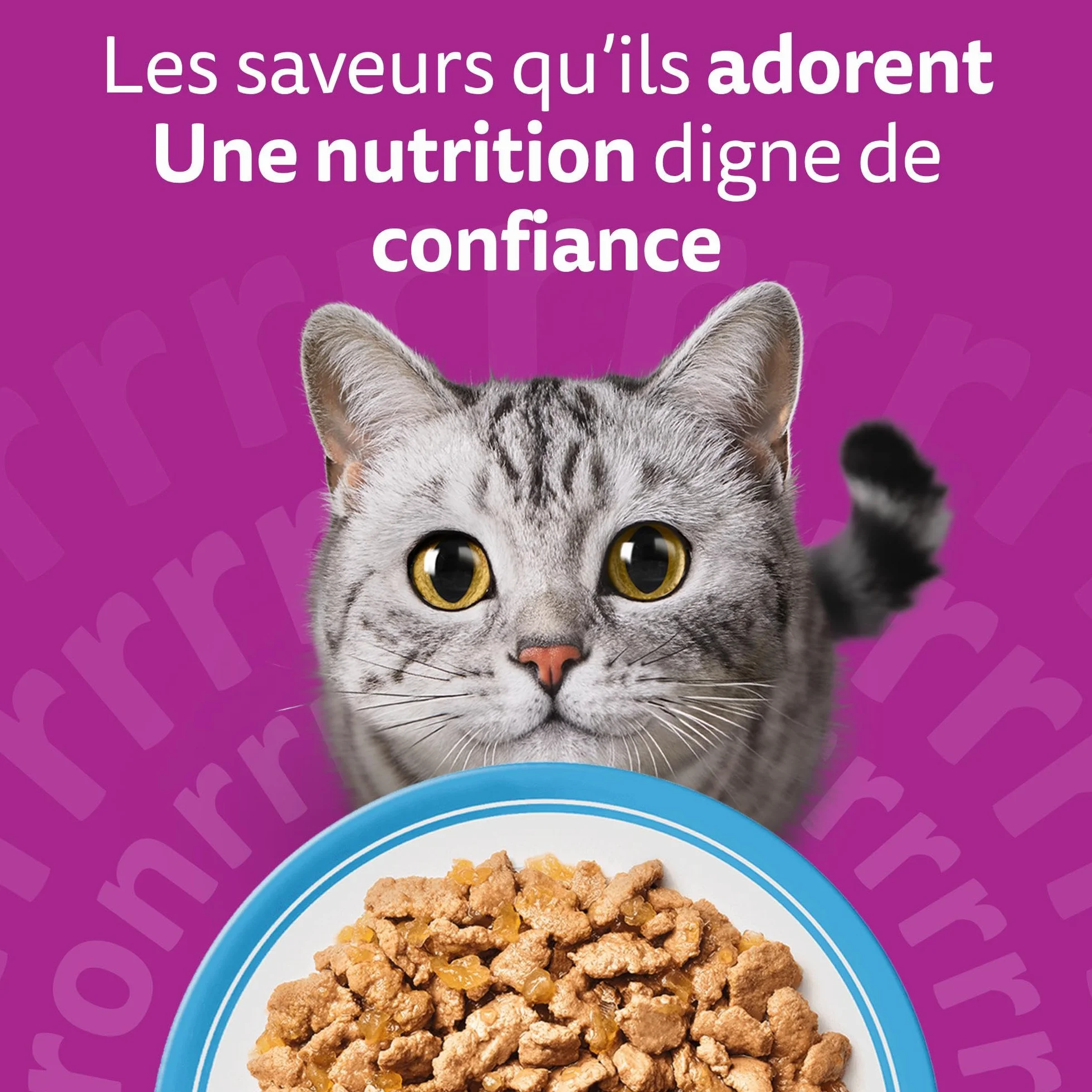 WHISKAS Aliment humide en gelée Chat adulte 24x85g Poissons Favoris Lot de 2 48 Sachets