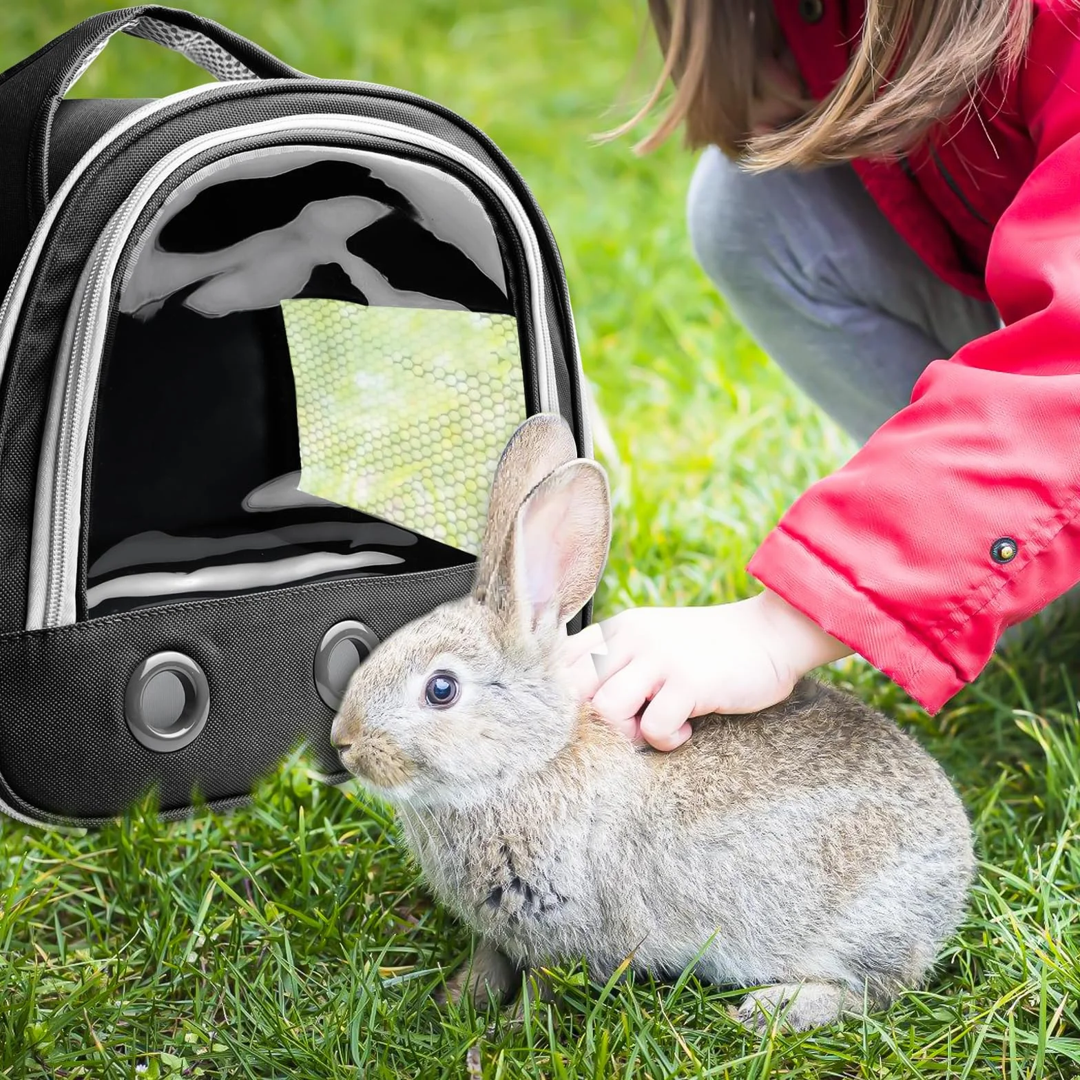 Boîte de transport pliable pour chat chien lapin hamster 30 x 21 x 27 cm Noir