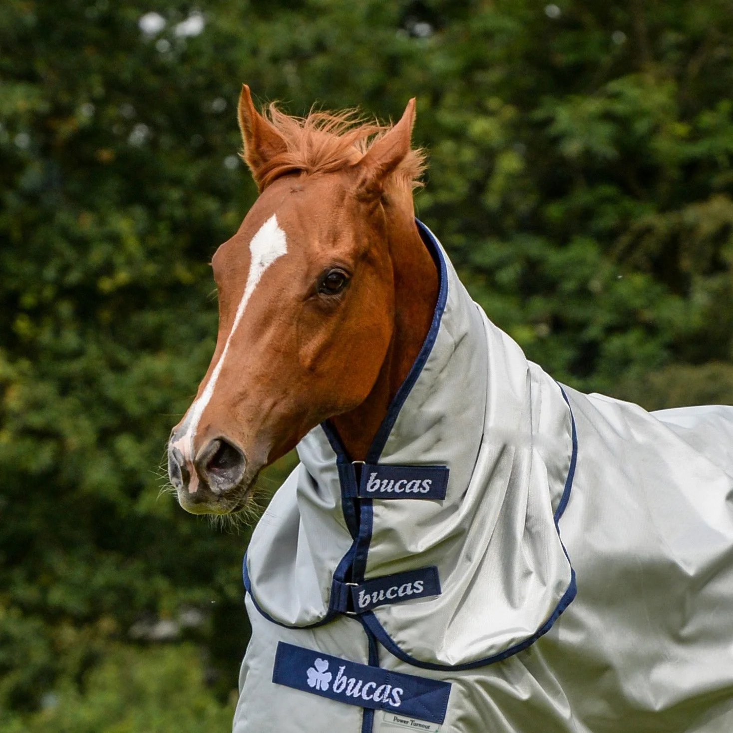 Bucas Power Combi Neck Cover