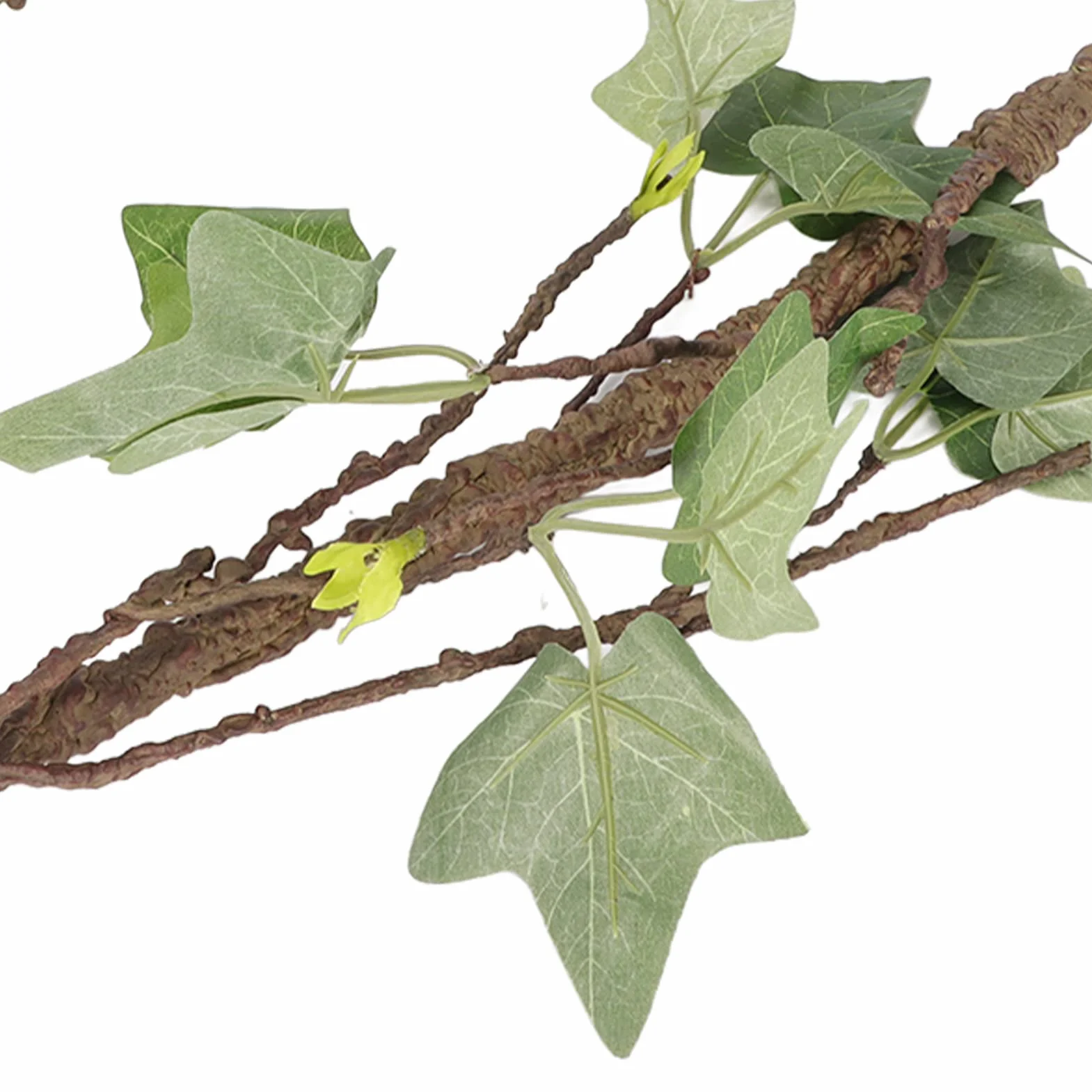 Branches de Reptiles, Vignes de Reptiles avec Ventouses, Branche d'angle de Reptile, Décoration de Plantes de Terrarium, Plantes de Reptiles pour Amphibiens, Lézards, Serpent,