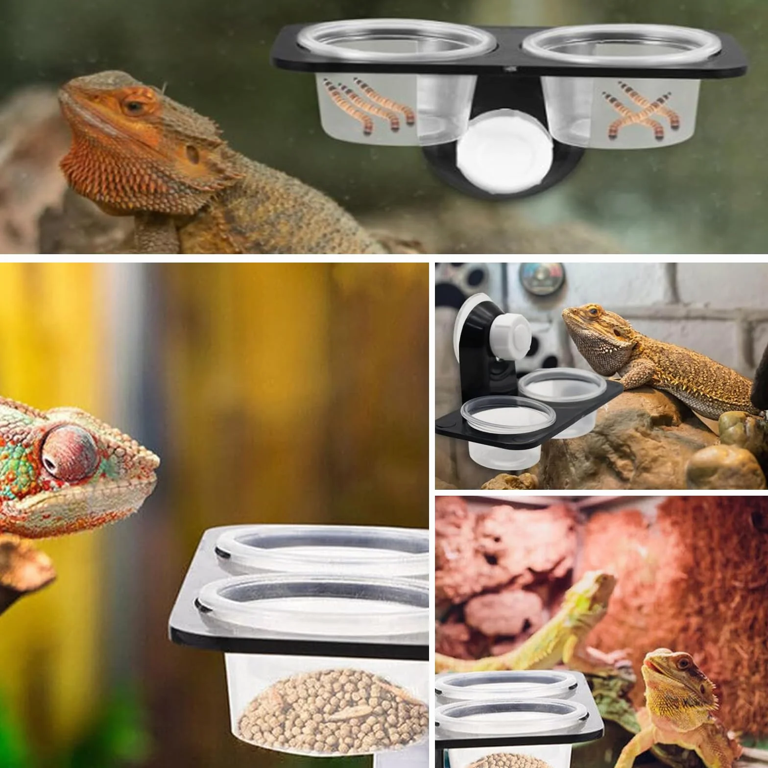 Mangeoires à Ventouse pour Reptiles 2 Pièces - Gamelle Reptile