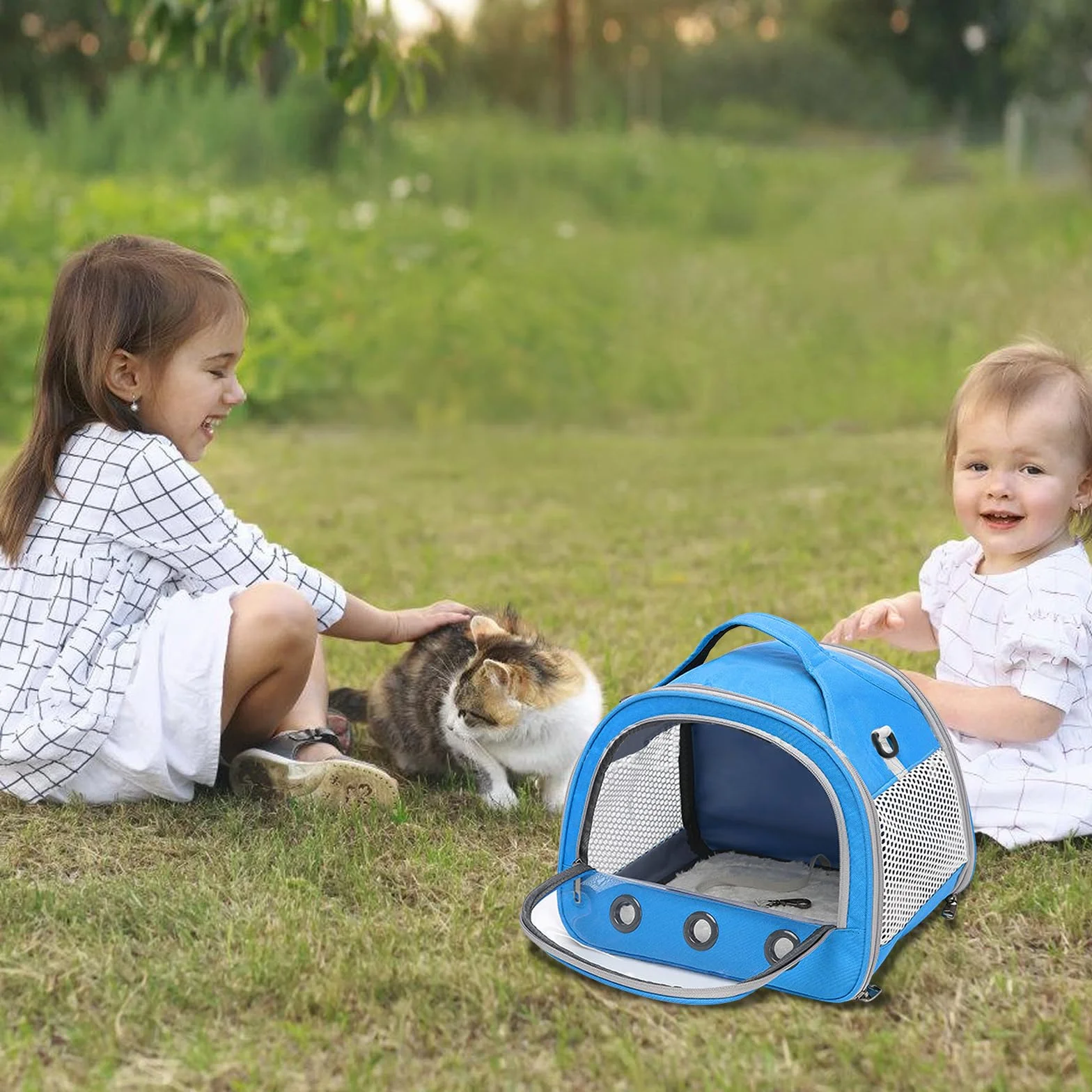 Sac De Transport pour Petits Animaux 30x27x21 cm Cage Portable Oiseaux Rats Bleu