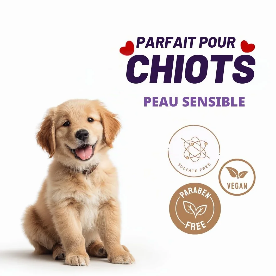 Kelebs Shampoing Chien et Chiot Naturel Anti Démangeaisons Anti Puces Anti Stress a la Lavande Huiles Essentielles Aux Flocons D'Avoine Bio Peau Sensible Anti Odeurs Biodegradable 3 Pieces