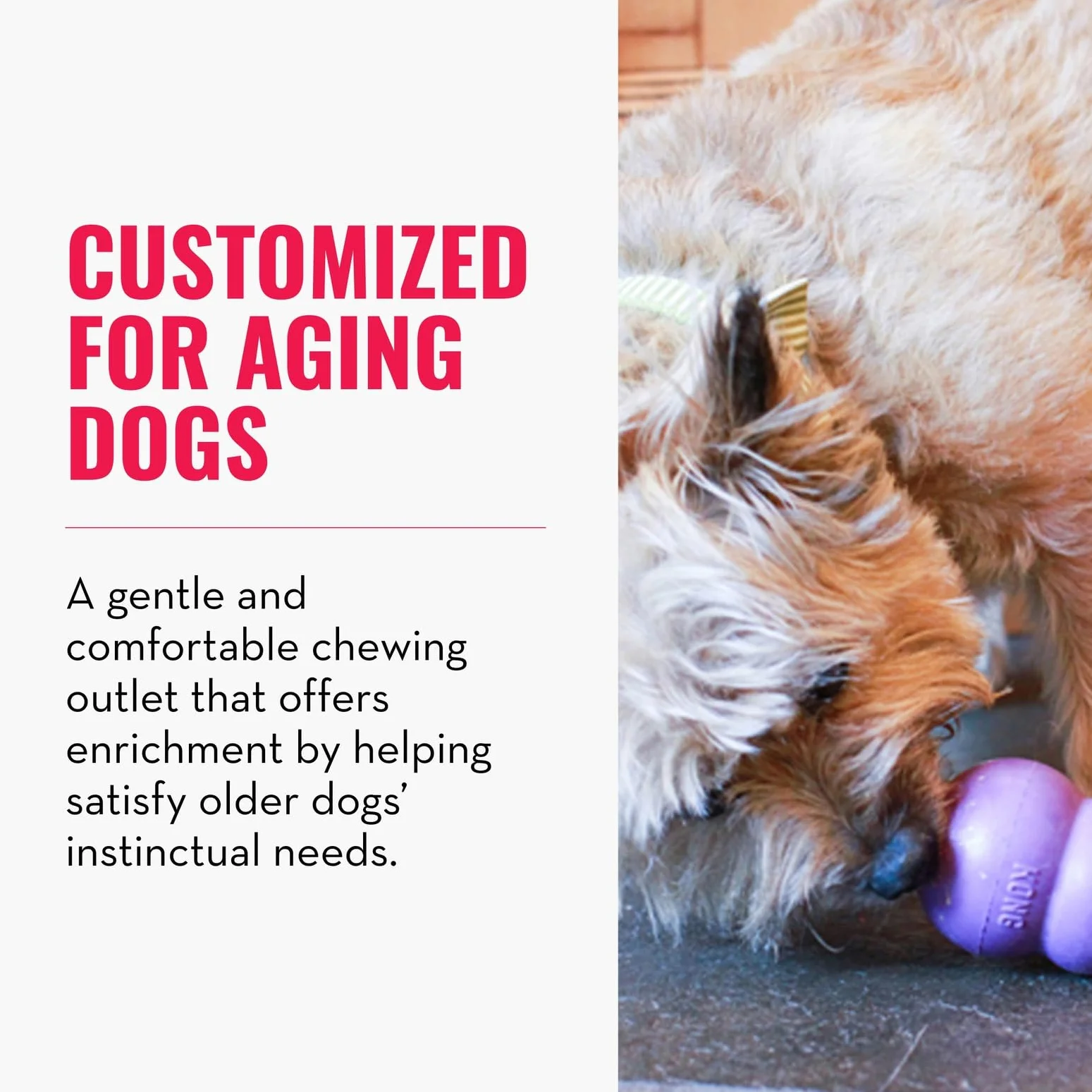 KONG Senior Jouet pour Chien Caoutchouc Naturel Doux Remplissable Friandises Chiens Âgés Moyens