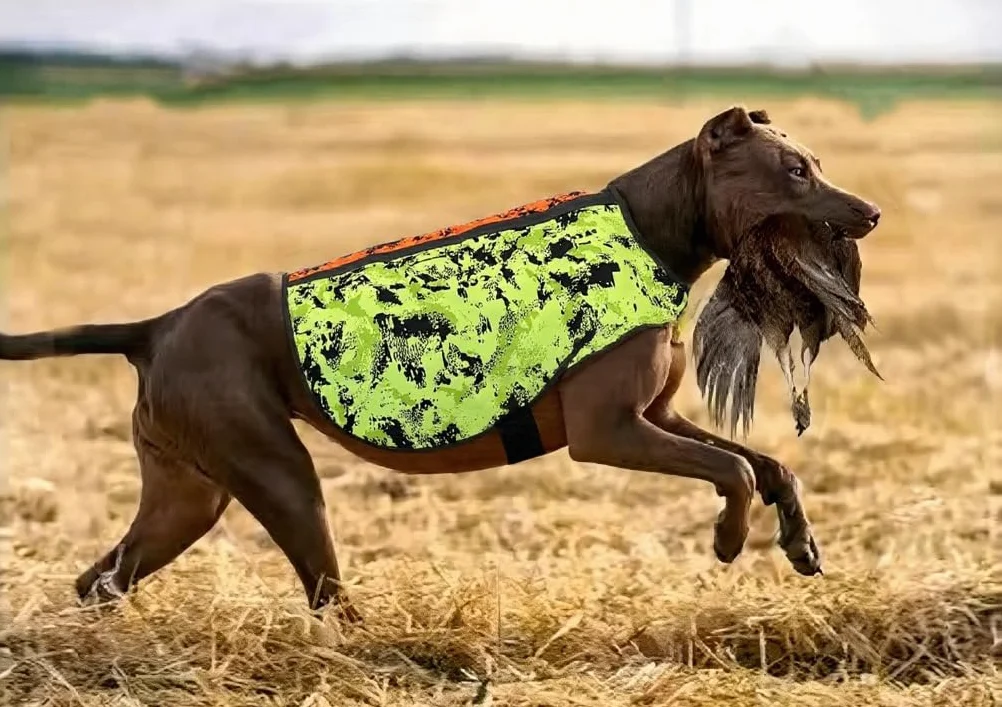 Gilet de Chasse Camouflage Haute Visibilité pour Chien