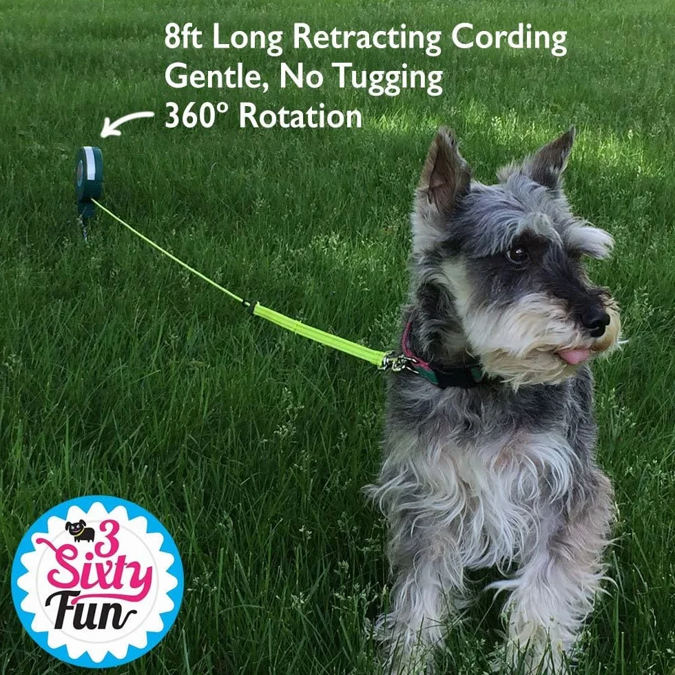 3Sixty Fun 5 m Laisse pour Chien Rotative Anti-Enchevêtrement pour Voyages Plein Air Camping