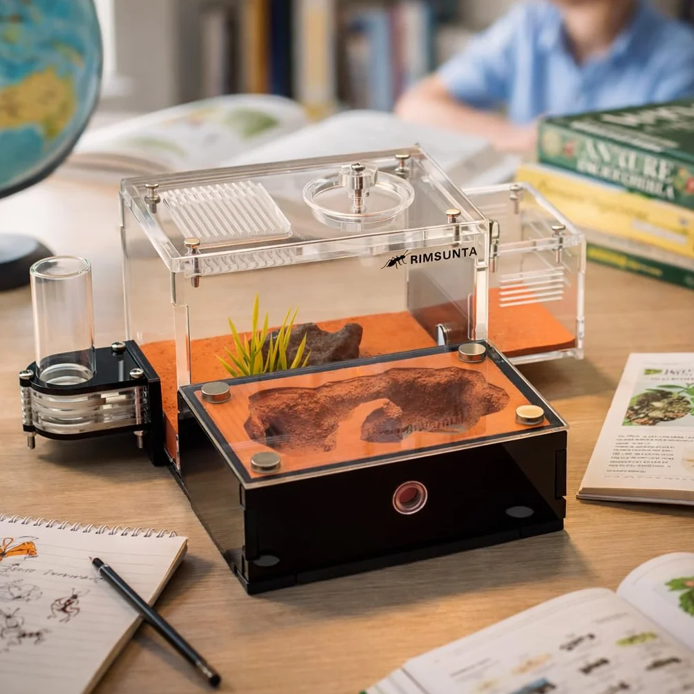 Formicarium Kit Éducatif Habitat de Ferme pour Fourmis Vivantes Reines