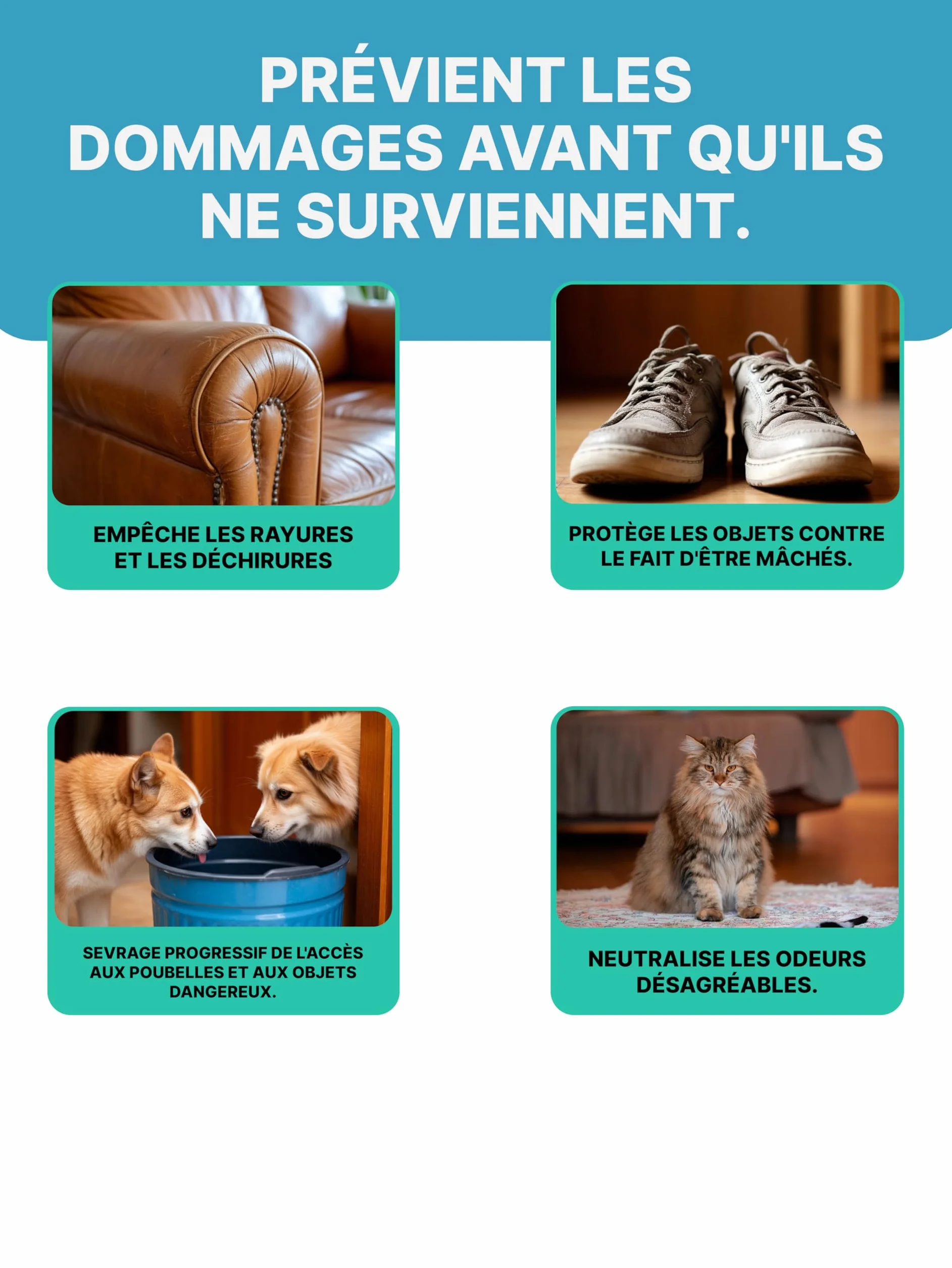 Spray Anti-Pipi pour Chiens et Chats Répulsif Intérieur 200 ml