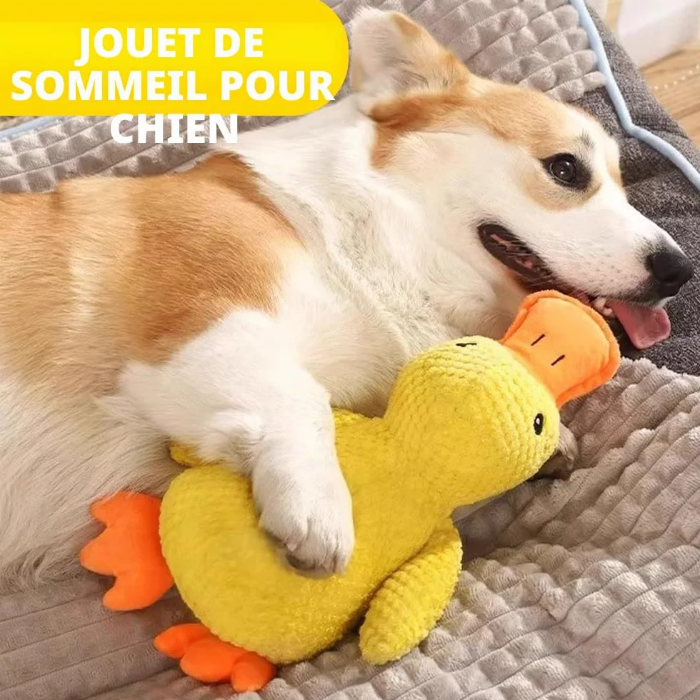Speedy Panther Jouet en peluche canard couineur pour petits chiens 25 cm