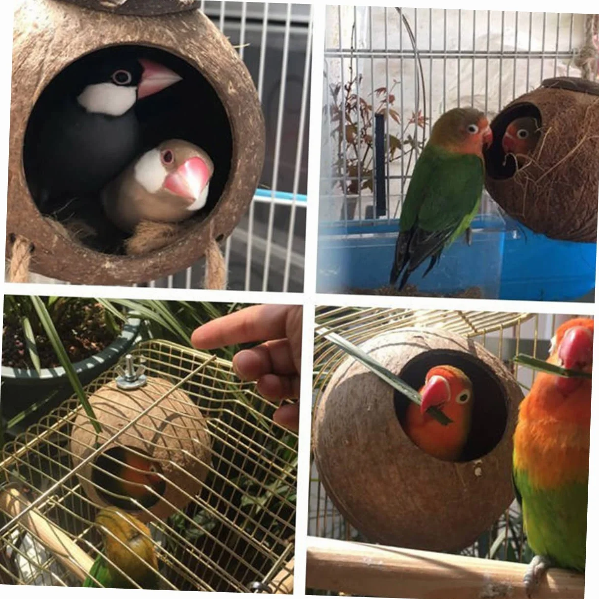 DOITOOL nid d'oiseau suspendu jouet cage oiseau hamac perroquet accessoires bambou