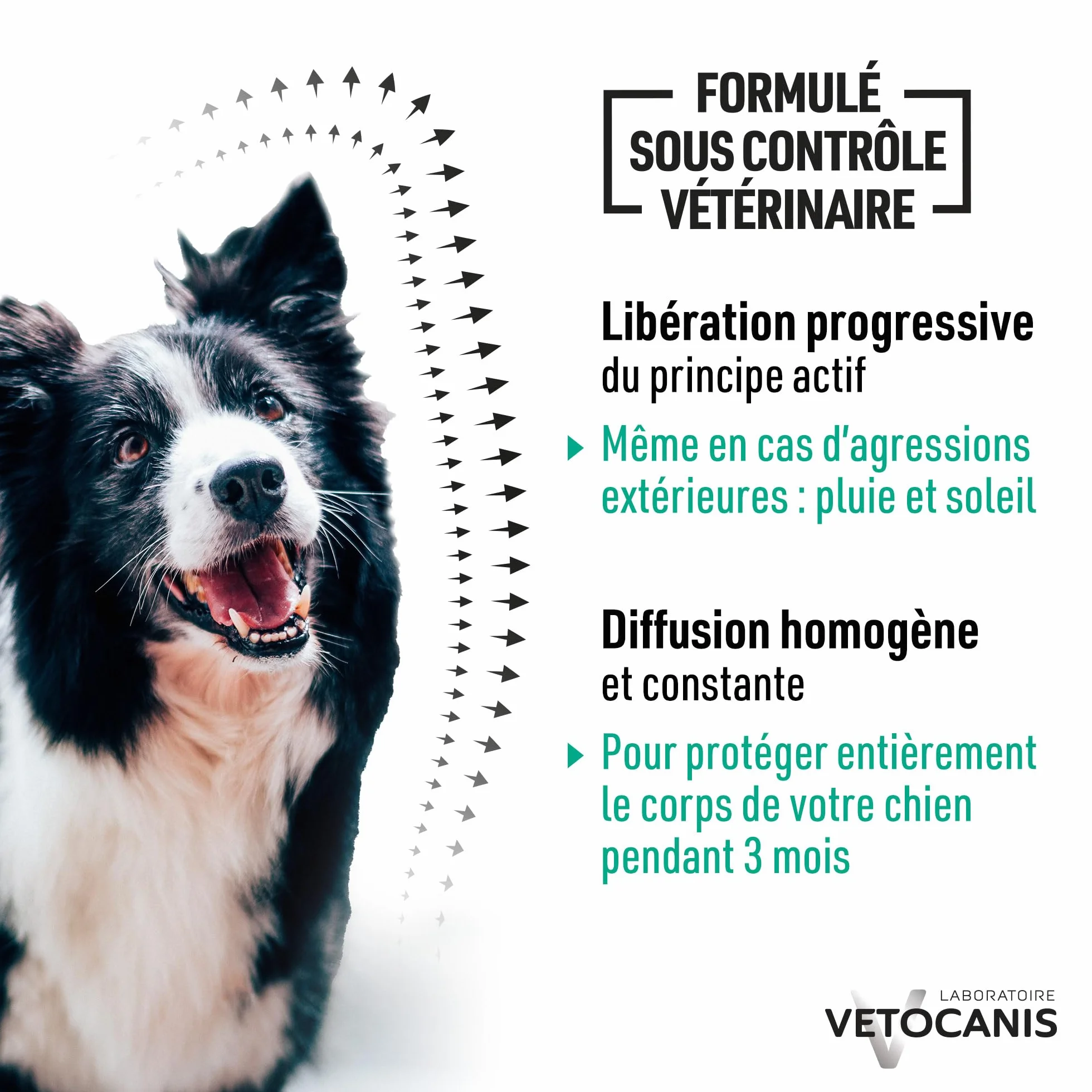 Vetocanis Collier Répulsif Puces Tiques Moustiques Protection 3 mois Grand Chien 20-40 kg Extraits Naturels Margosa Lavandin
