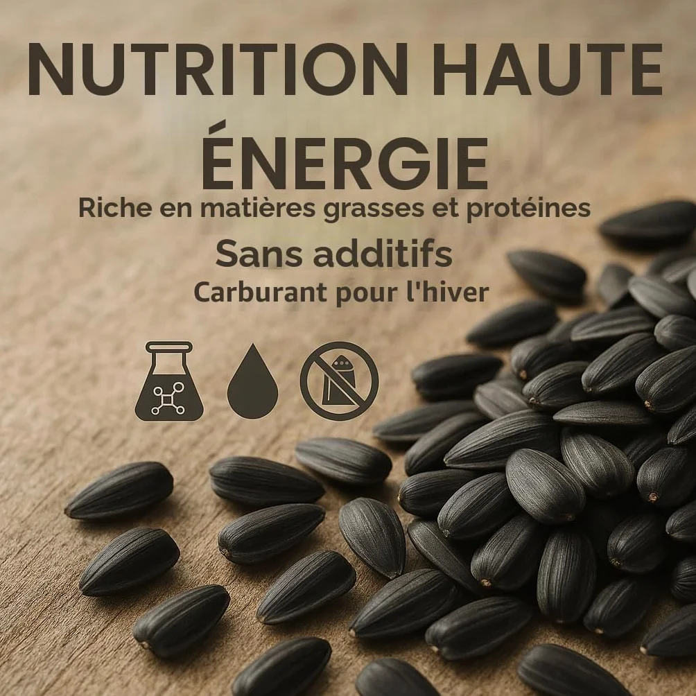 Graines de tournesol noir 25 kg pour oiseaux sauvages et petits animaux
