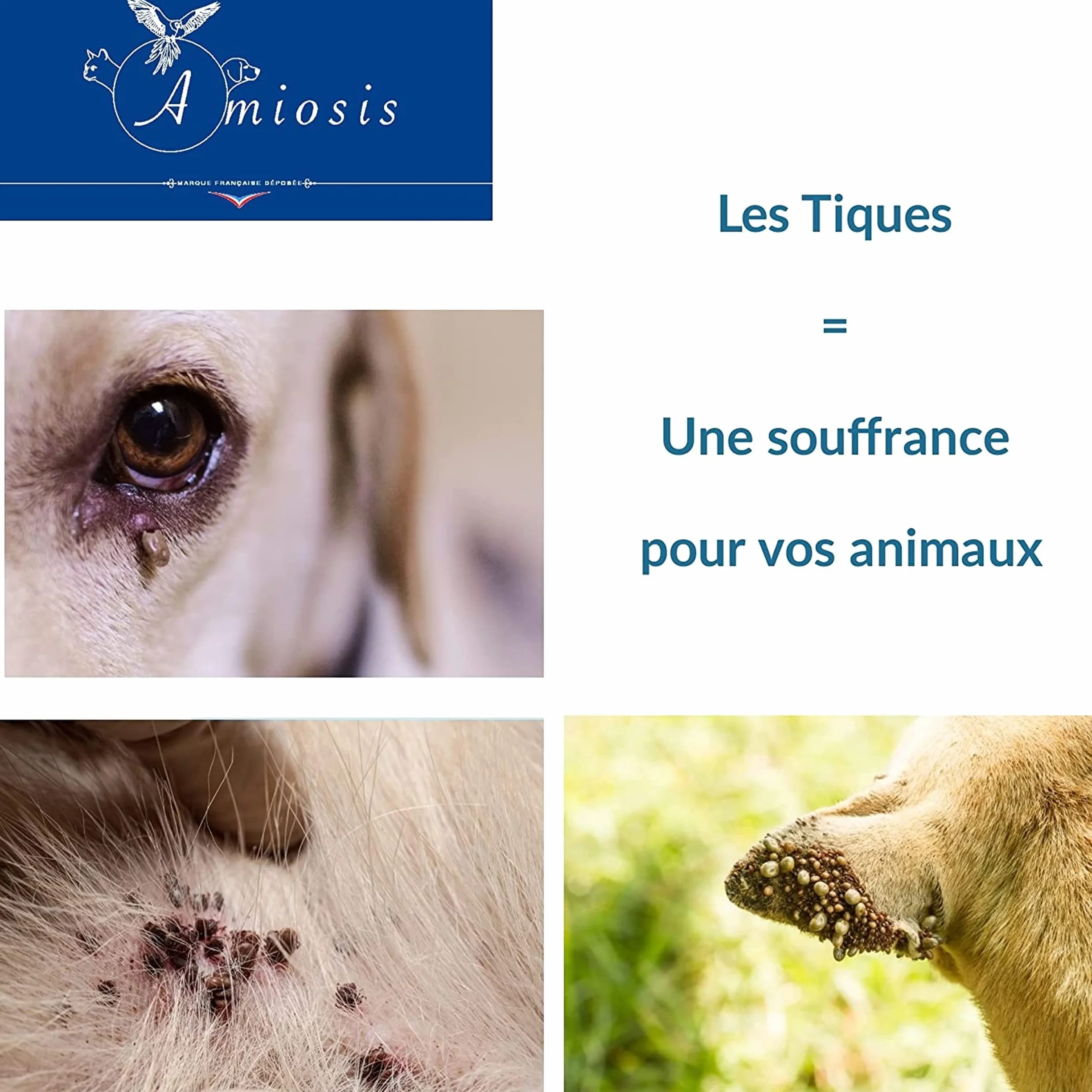 Tire Tique,produit anti tique, Accessoire Antiparasitaire BONUS OFFERT, Retire/Enlève/Attrape parasites, Lot de 3 pinces pour Chat Chien Humain