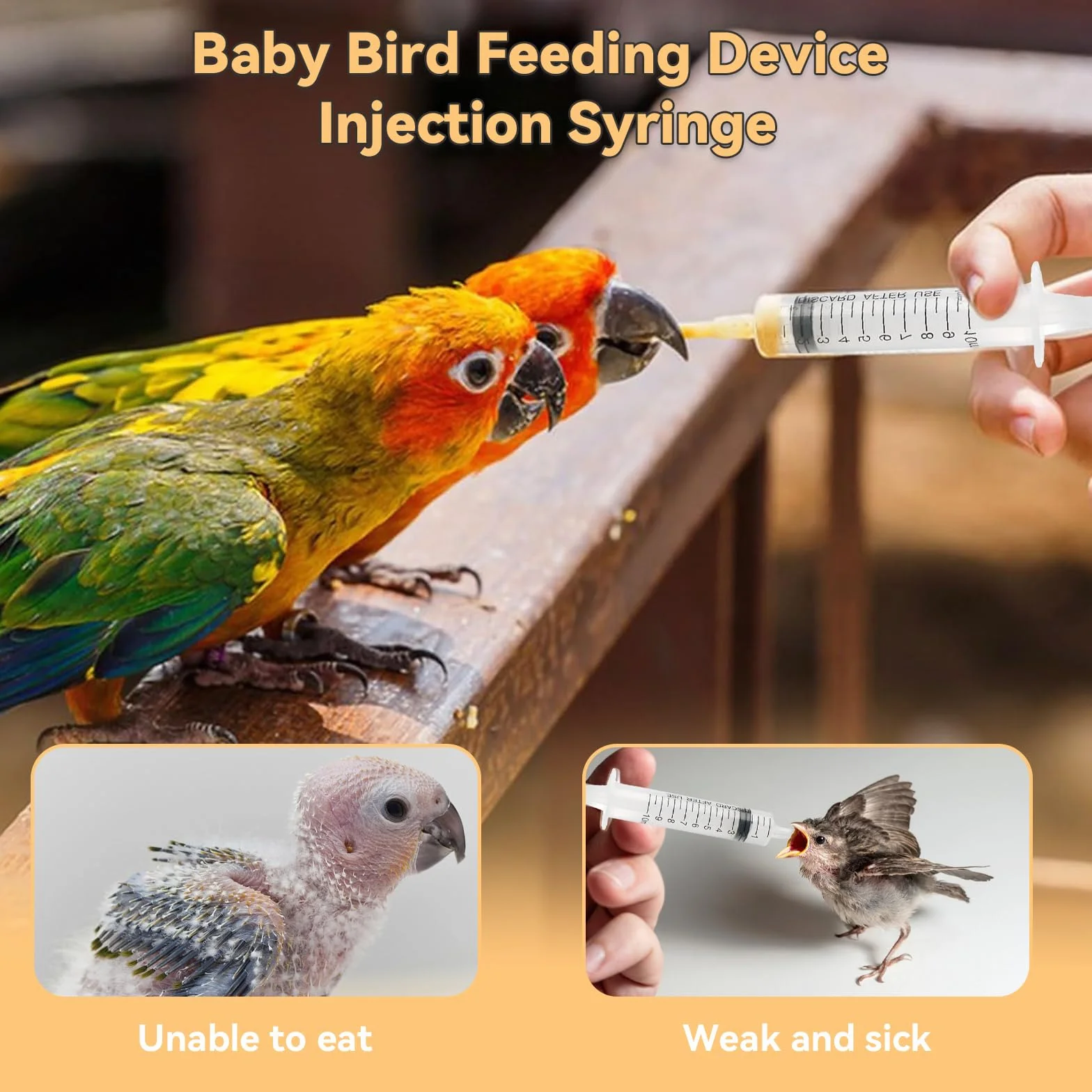 Sondes d'alimentation pour Oisillons 12 Pièces avec Seringues 10 ML pour Perroquets et Petits Animaux