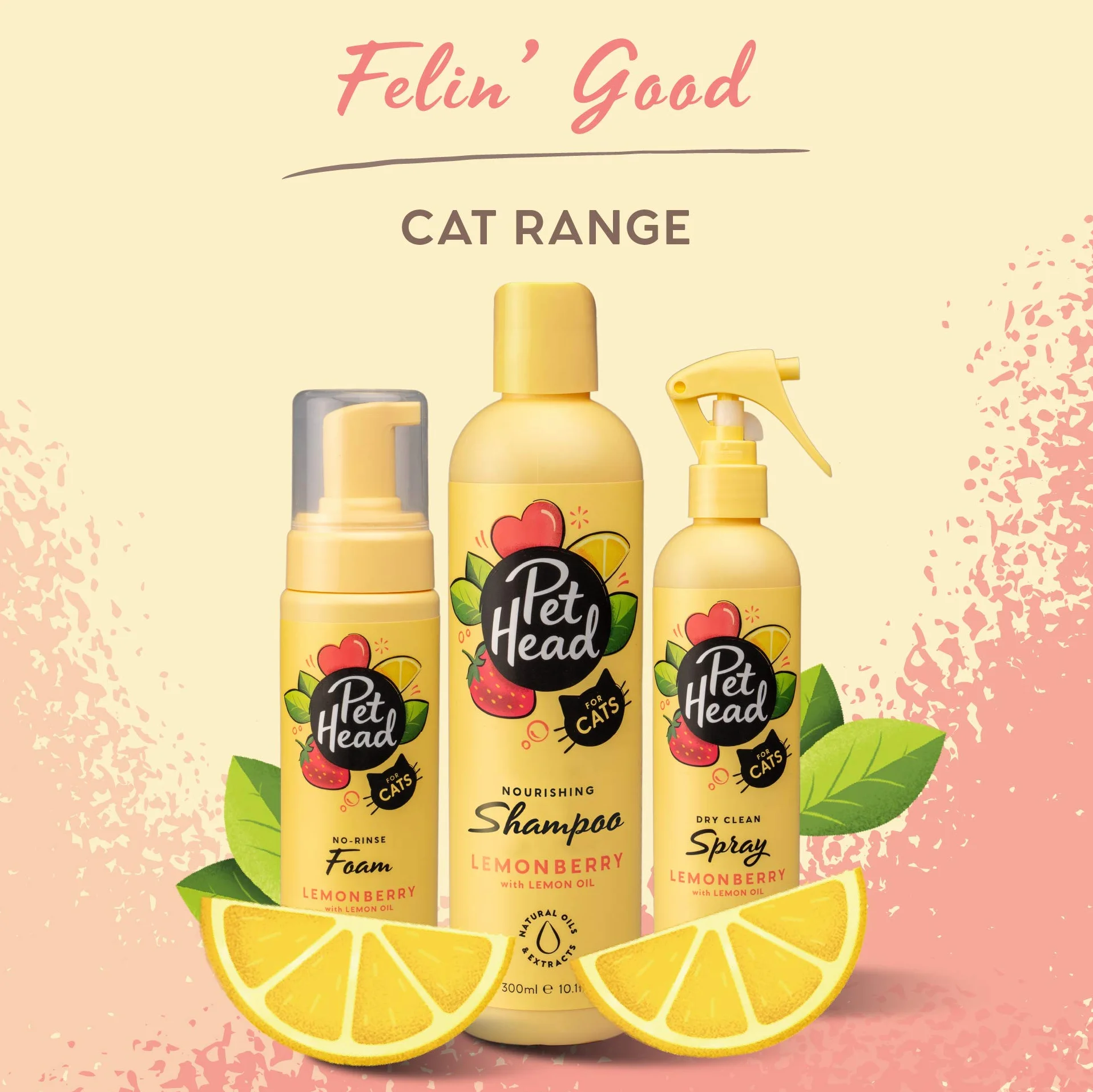 Pet Head Felin' Good Mousse sans rinçage pour Chats 200 ml Shampoing sec parfum fruité aloe vera