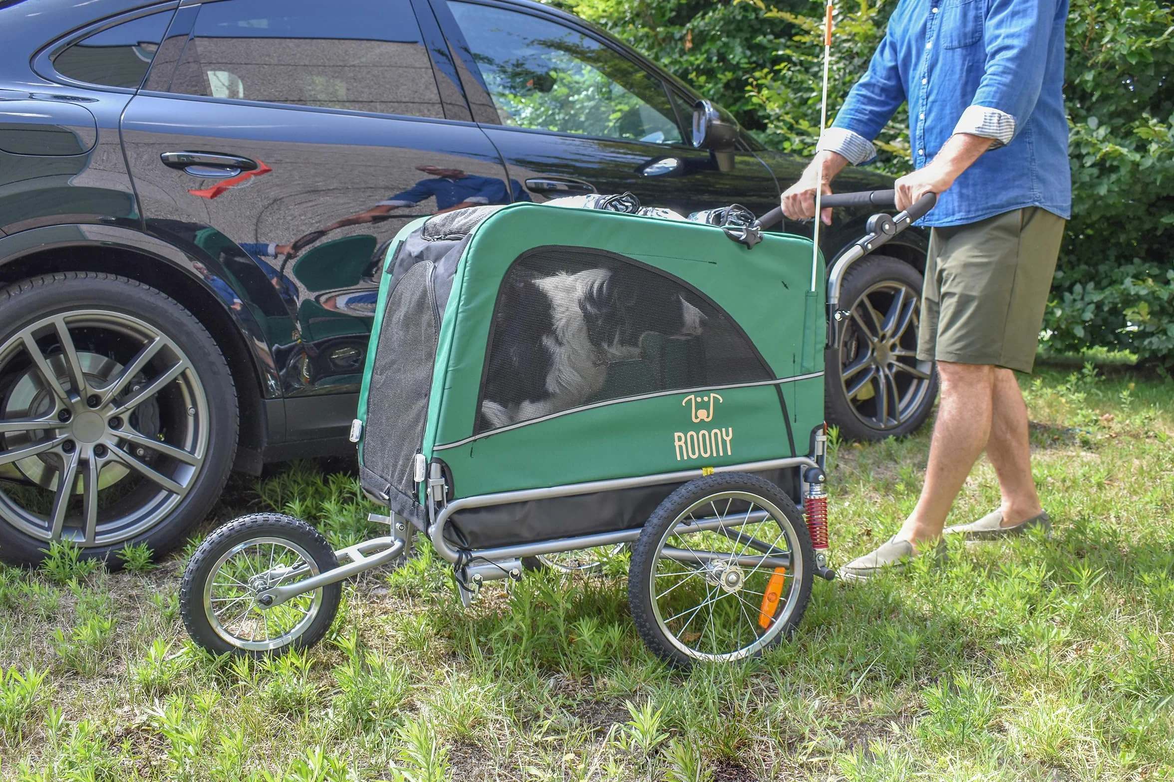 Remorque à vélo 2en1 pour Chien XL avec Suspension