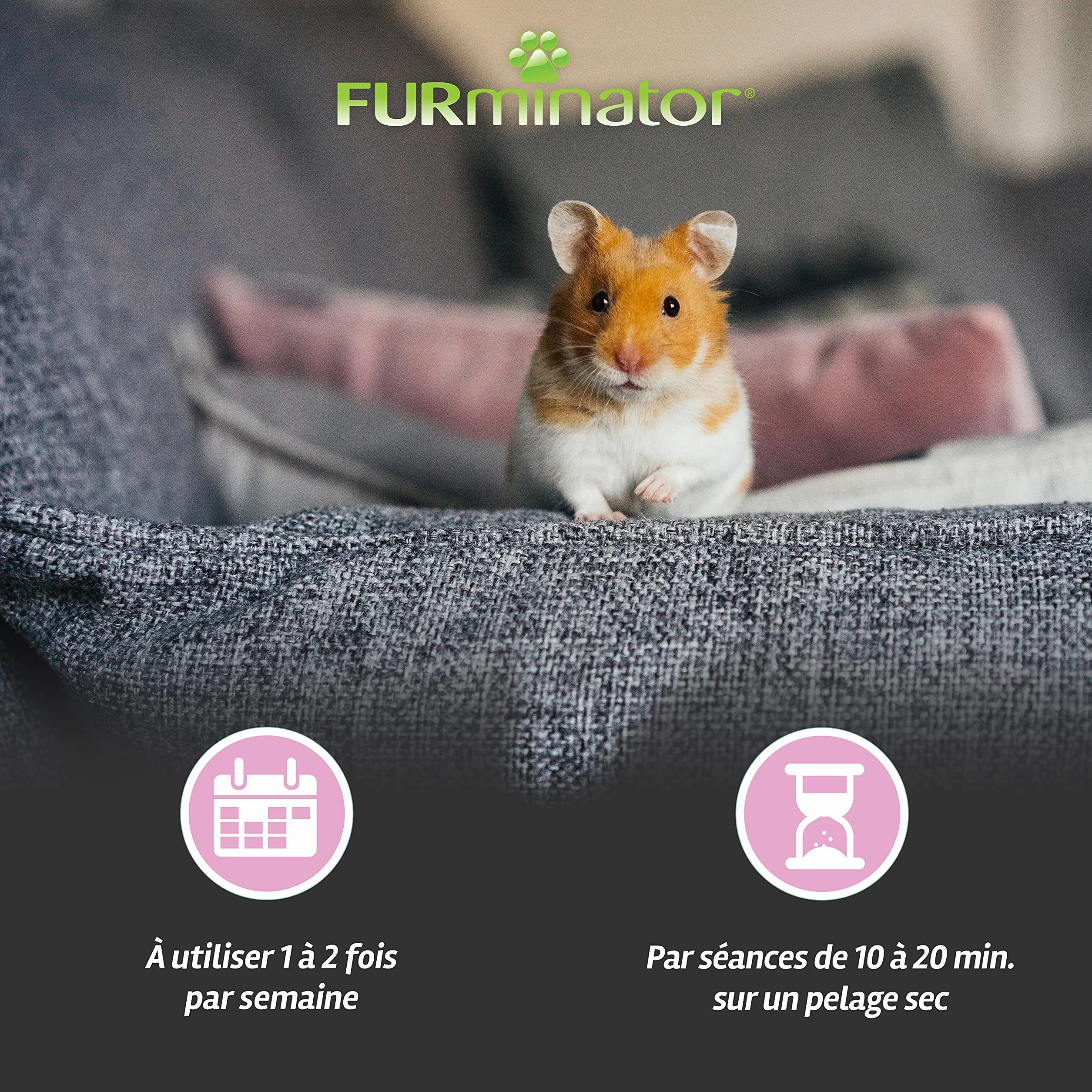FURminator Undercoat deShedding Outil Petits animaux